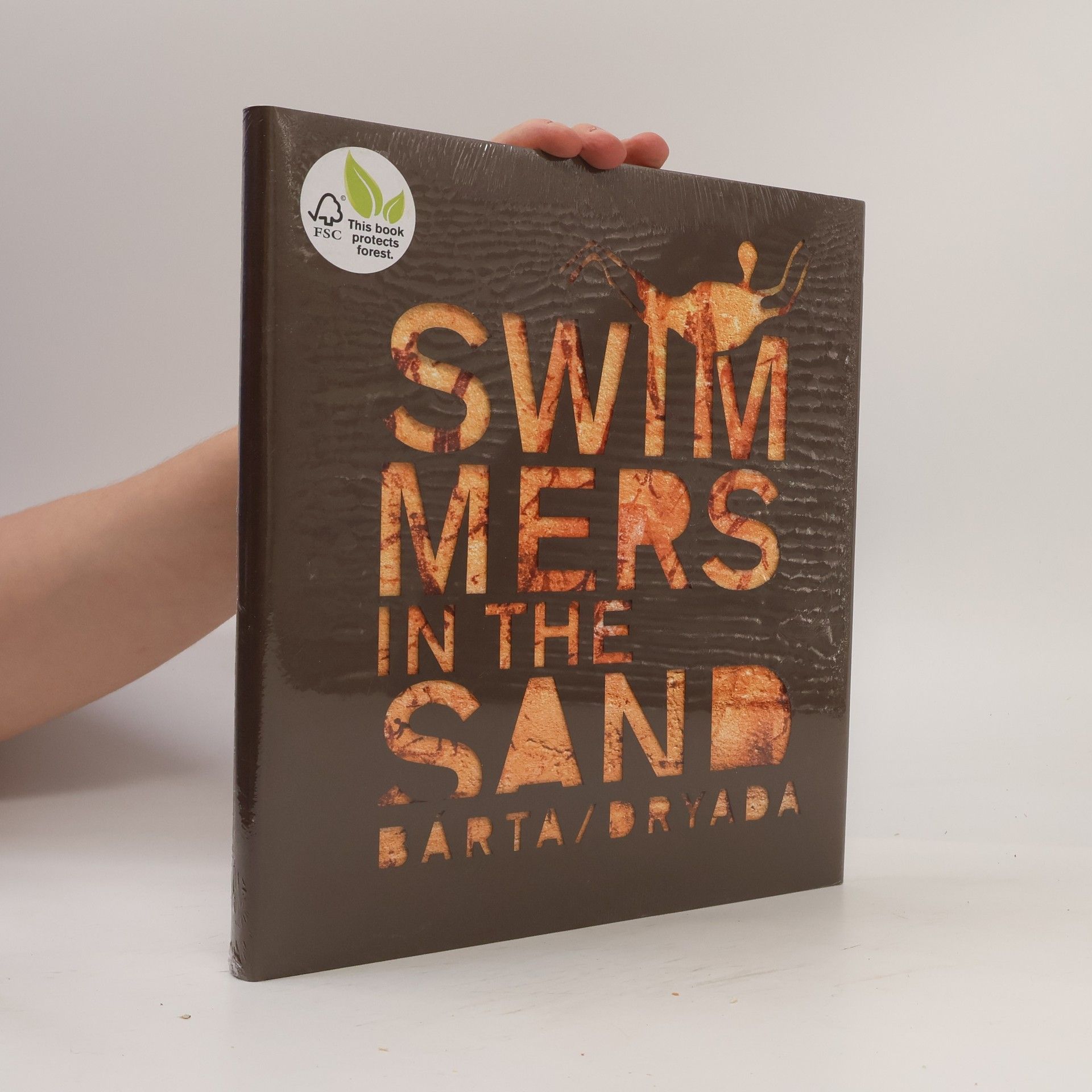 Miroslav Bárta Swimmers in the sand