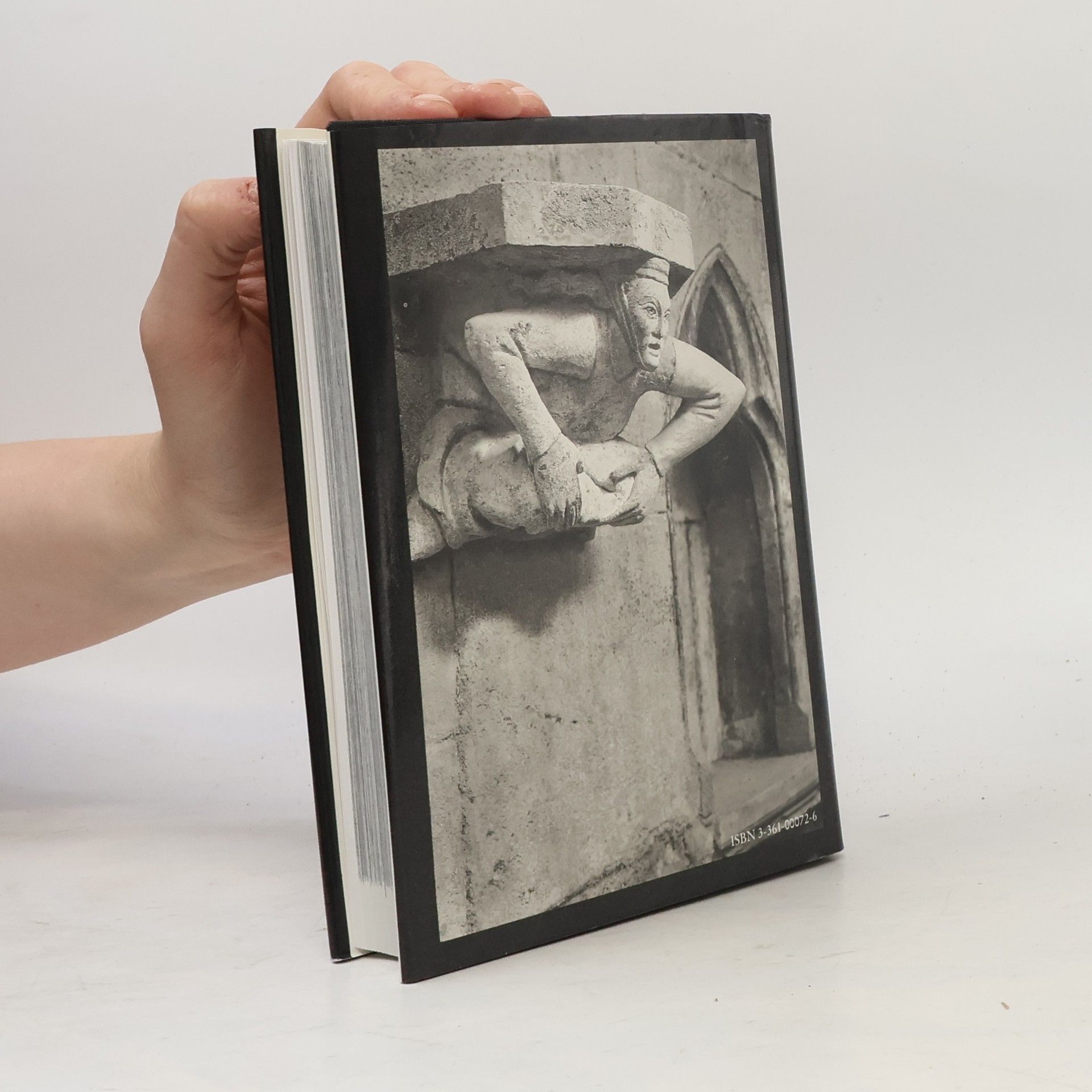 Helga Sciurie Deutsche Kunstdenkmäler