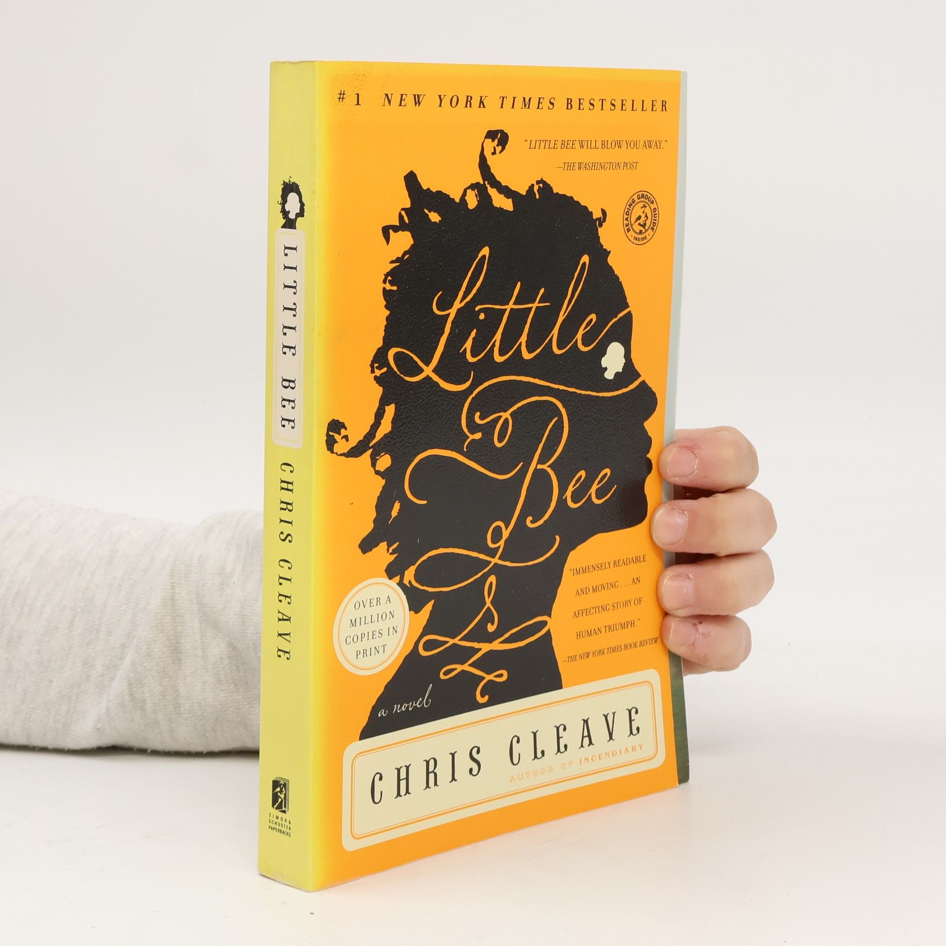 Chris Cleave Little Bee