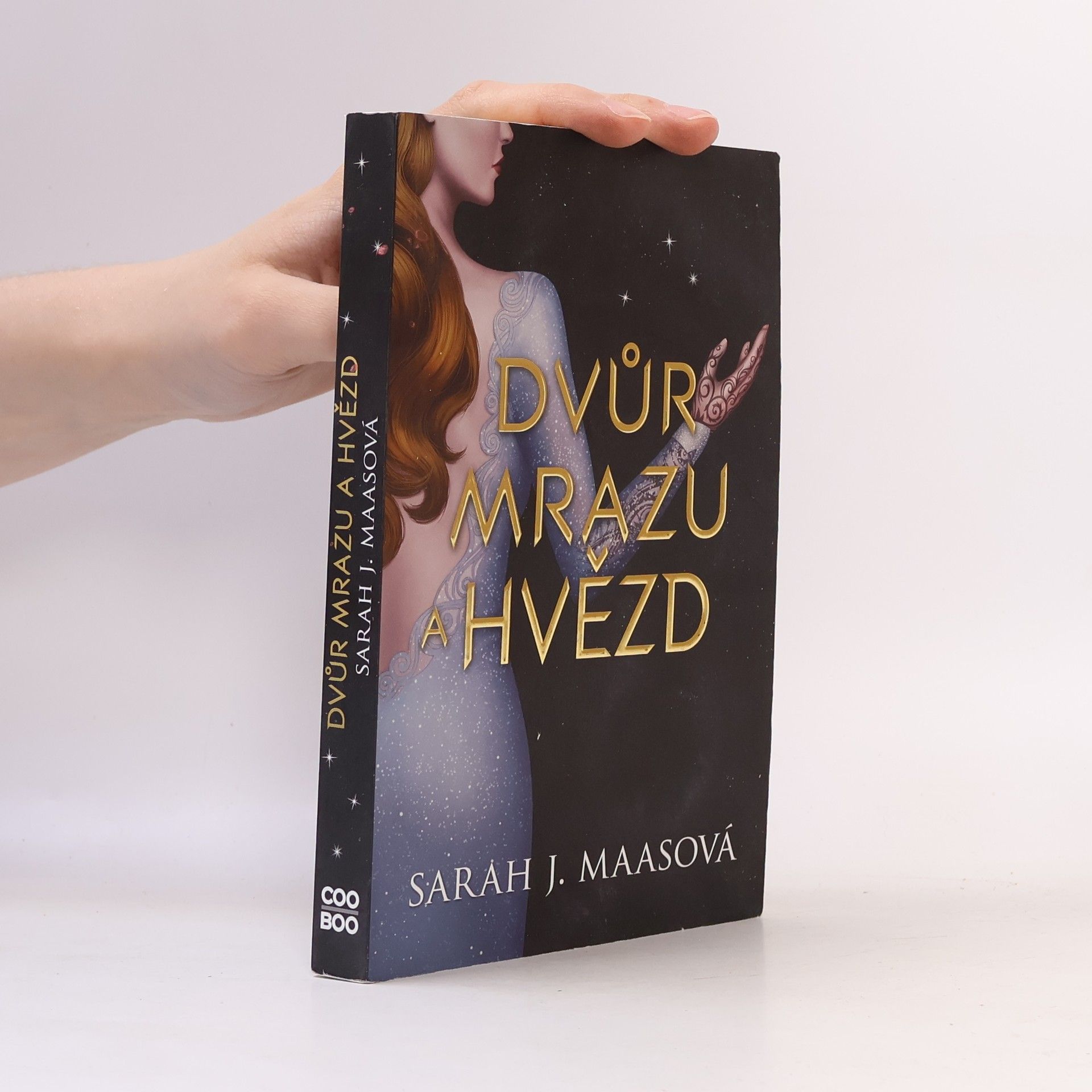 Sarah J. Maas Dvůr mrazu a hvězd