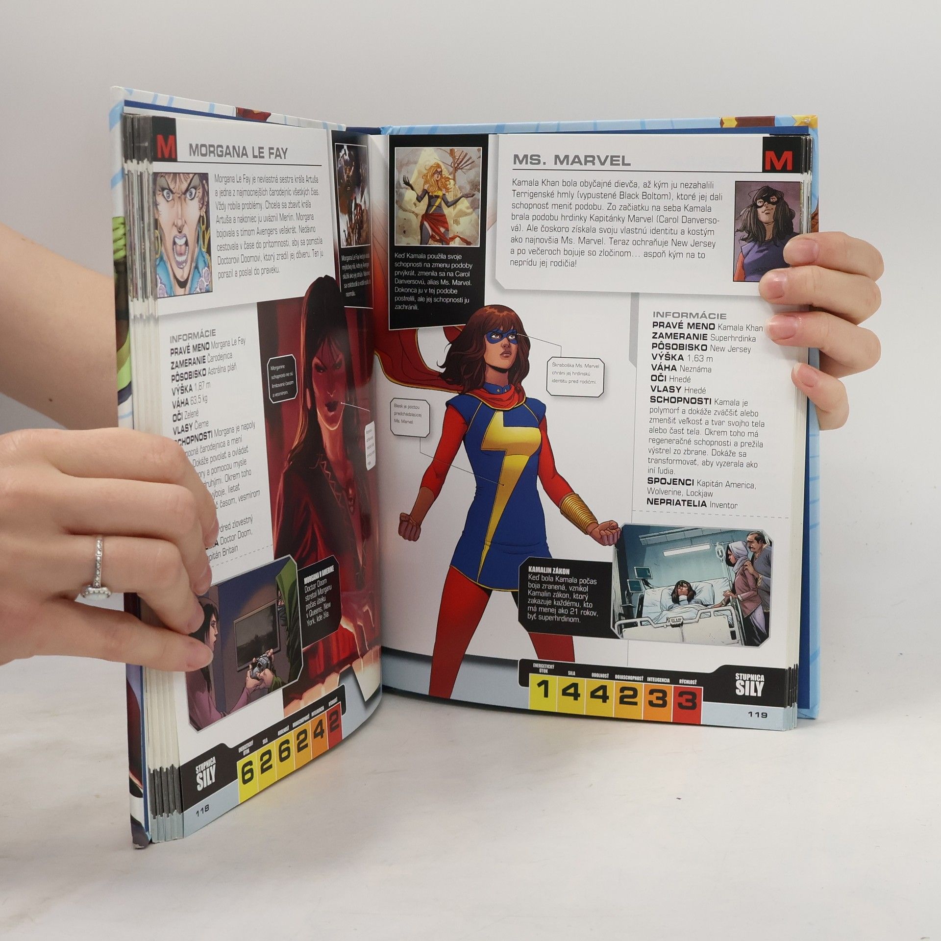 Alan Cowsill Marvel Avengers: Kompletný sprievodca postavami