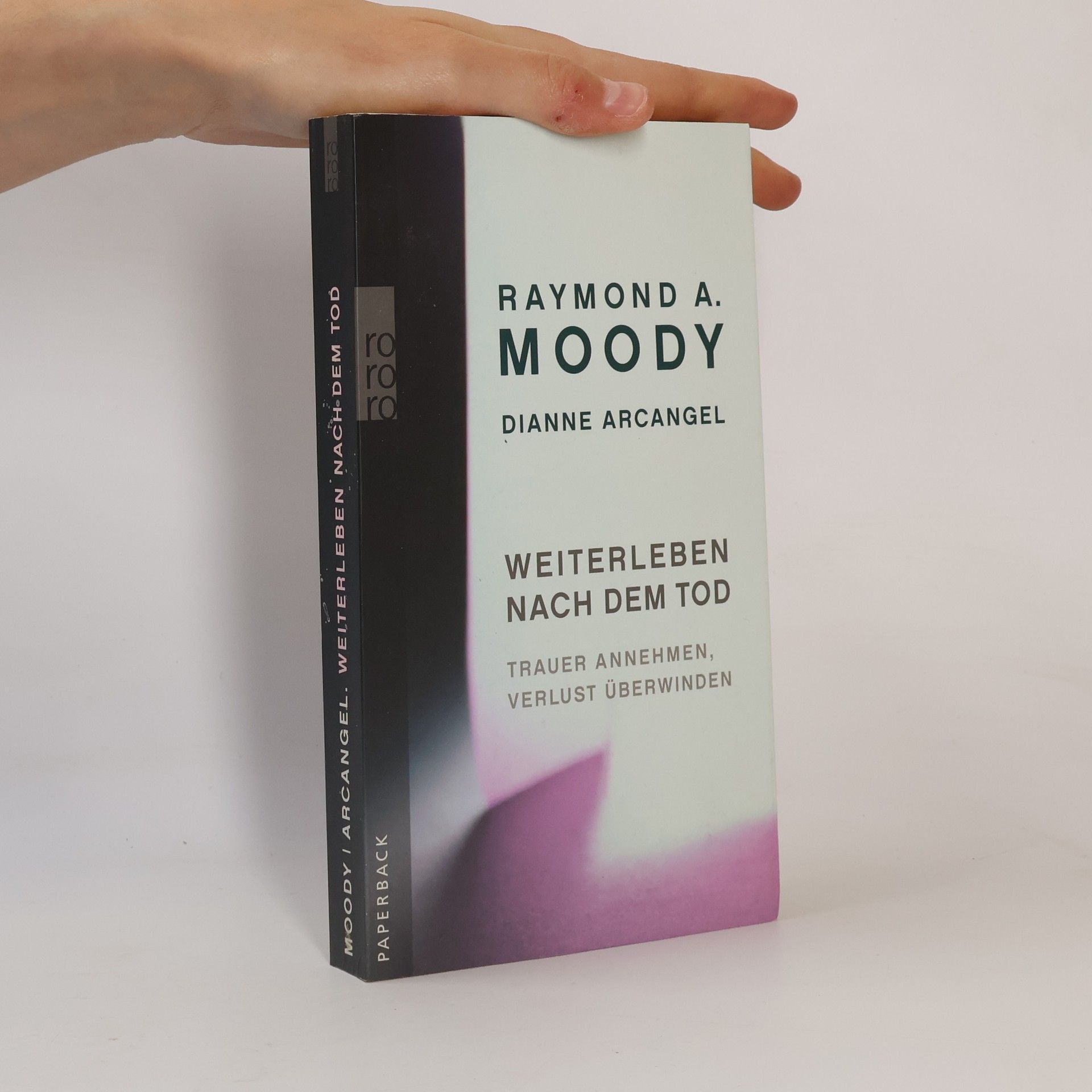 Raymond Moody Weiterleben nach dem Tod