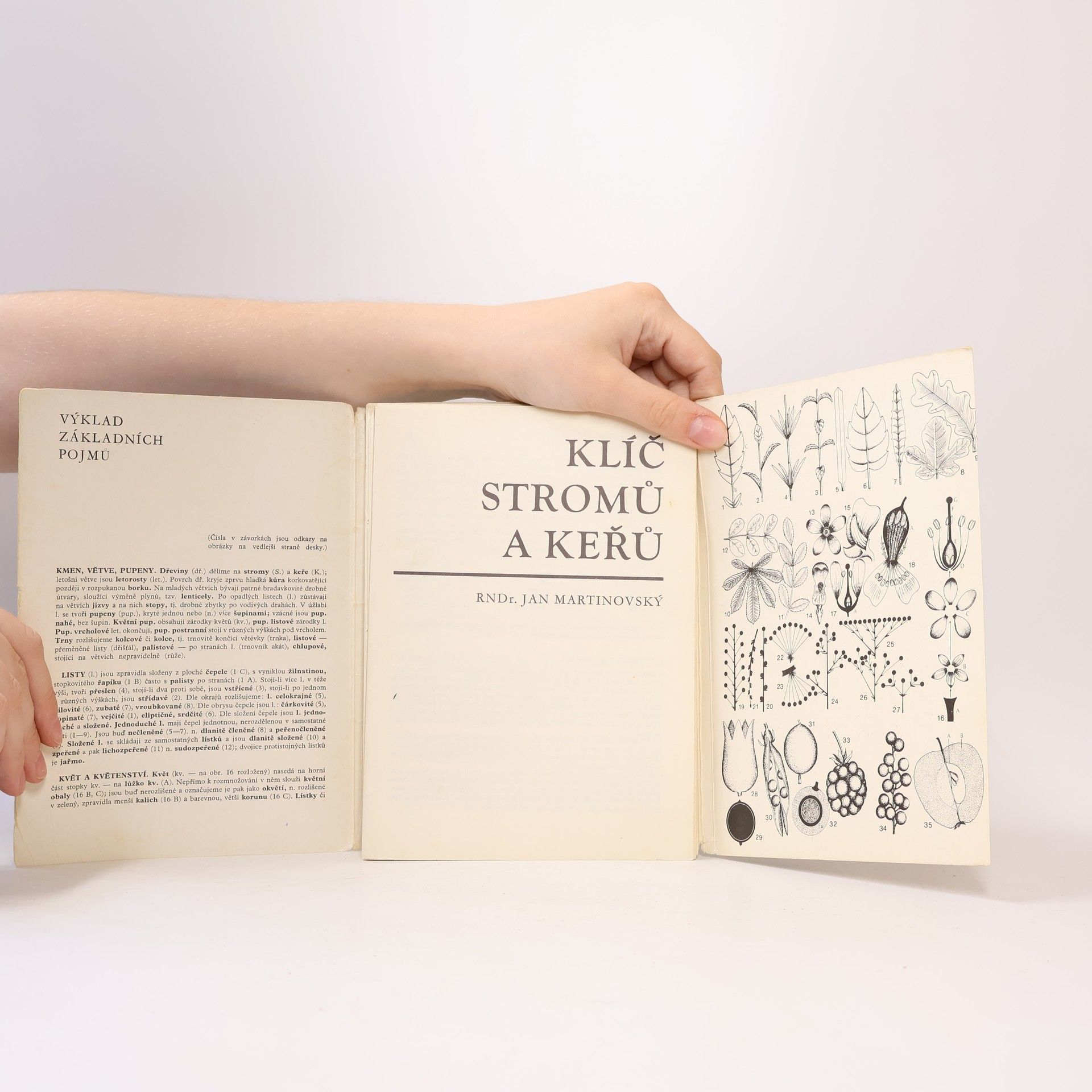 Miloš Pozděna Klíč a atlas stromů a keřů