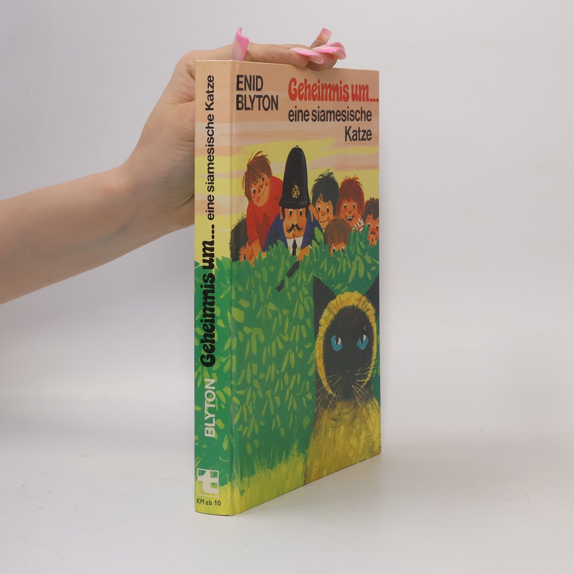 Enid Blyton Geheimnis um... eine siamesische Katze