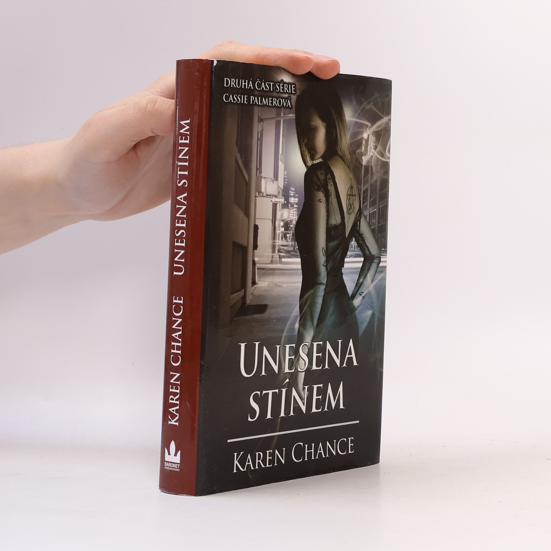 Karen Chance Unesena stínem
