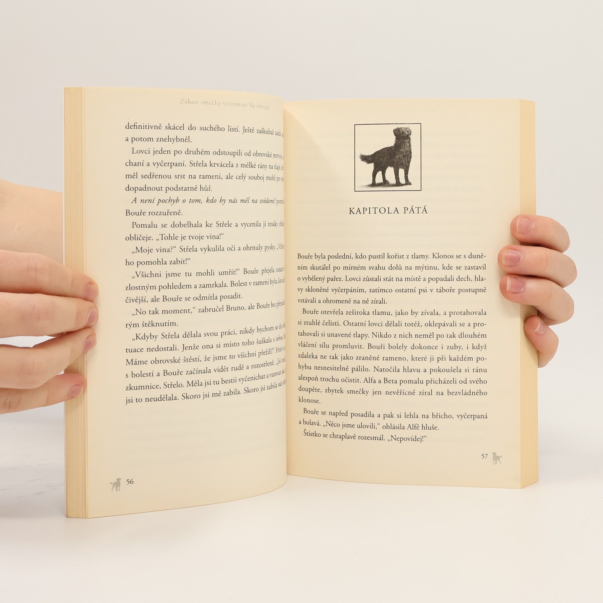Erin Hunter Ve stínech