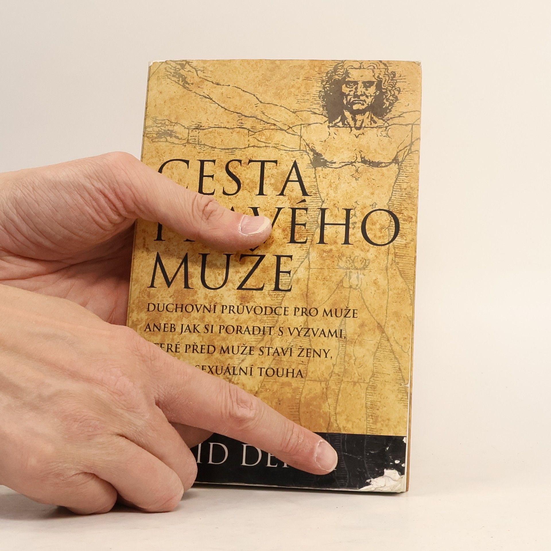 David Deida Cesta pravého muže