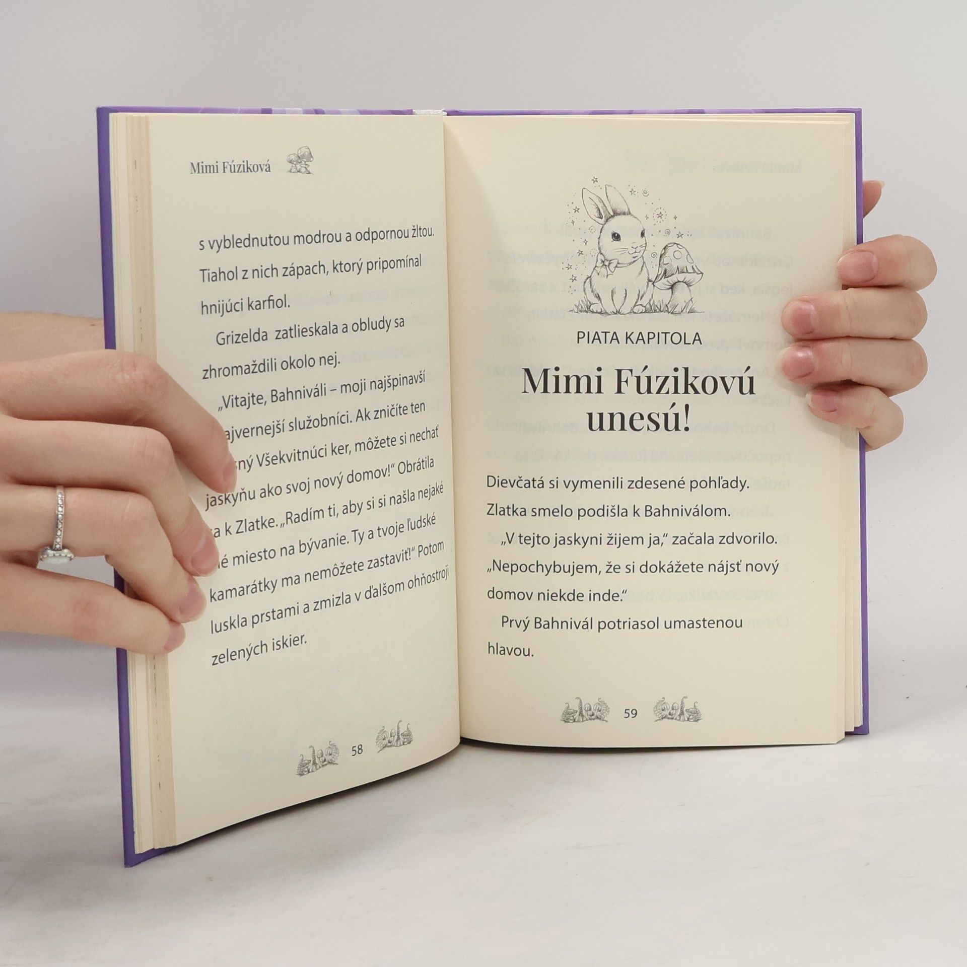 Daisy Meadows Kamarátky kúzelných zvierat