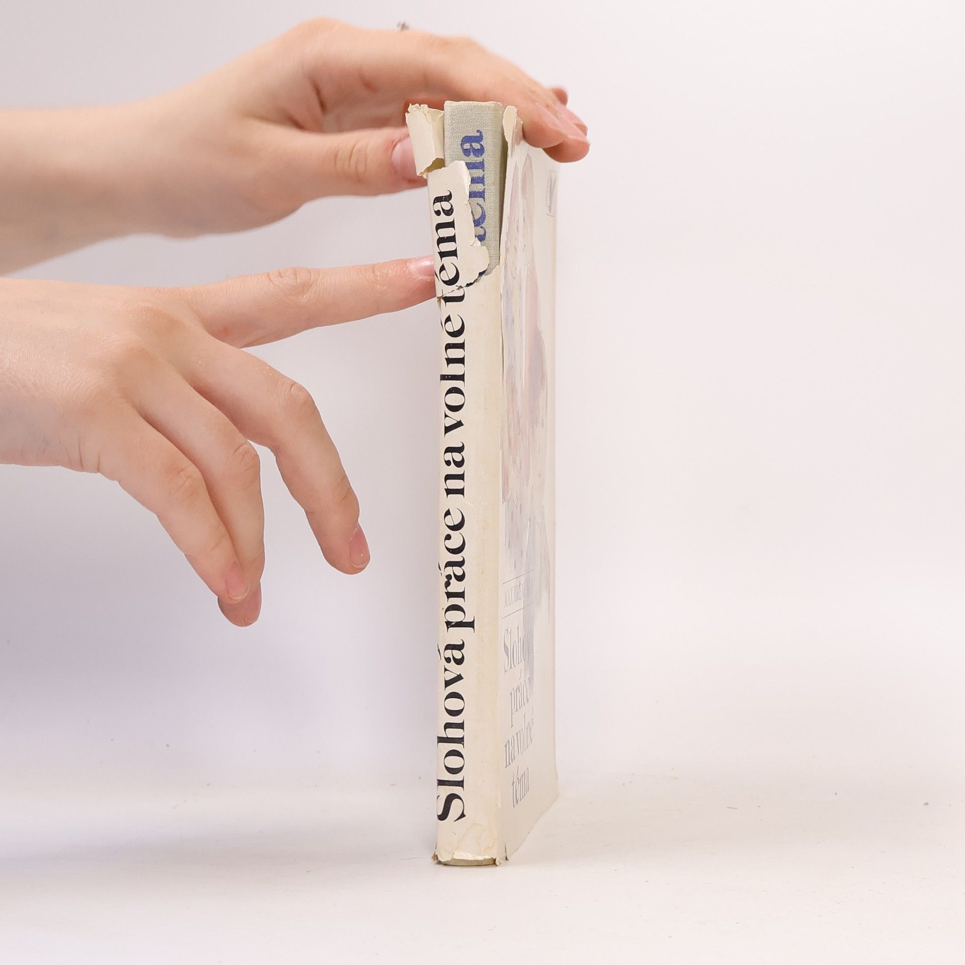 Zdeňka Bílková Slohová práce na volné téma