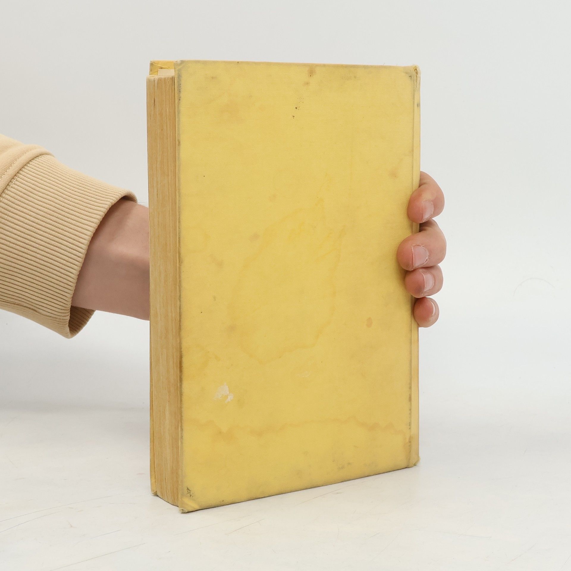 Alexandre Dumas der Ältere Kráľovnin náhrdelník 2