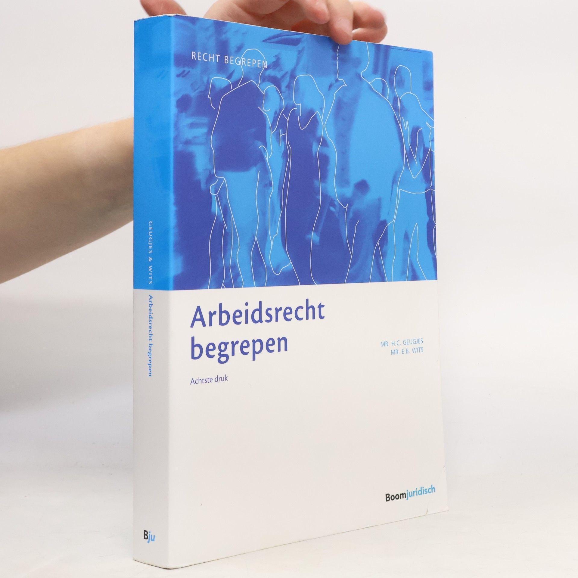 Erica B. Wits Recht begrepen: Arbeidsrecht begrepen