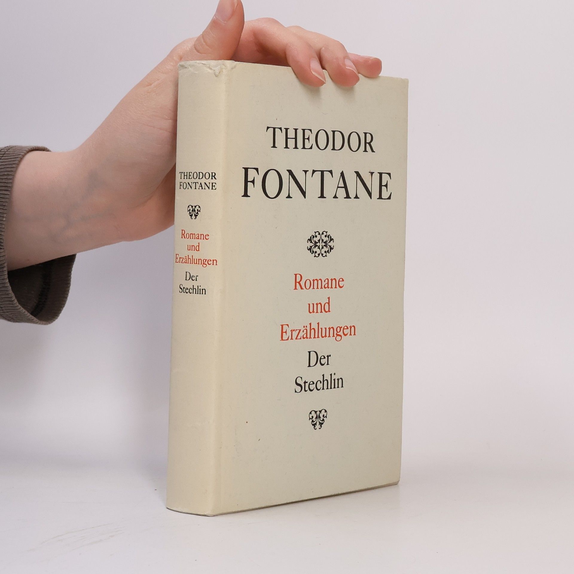 Theodor Fontane Romane und Erzählungen. Der Stechlin