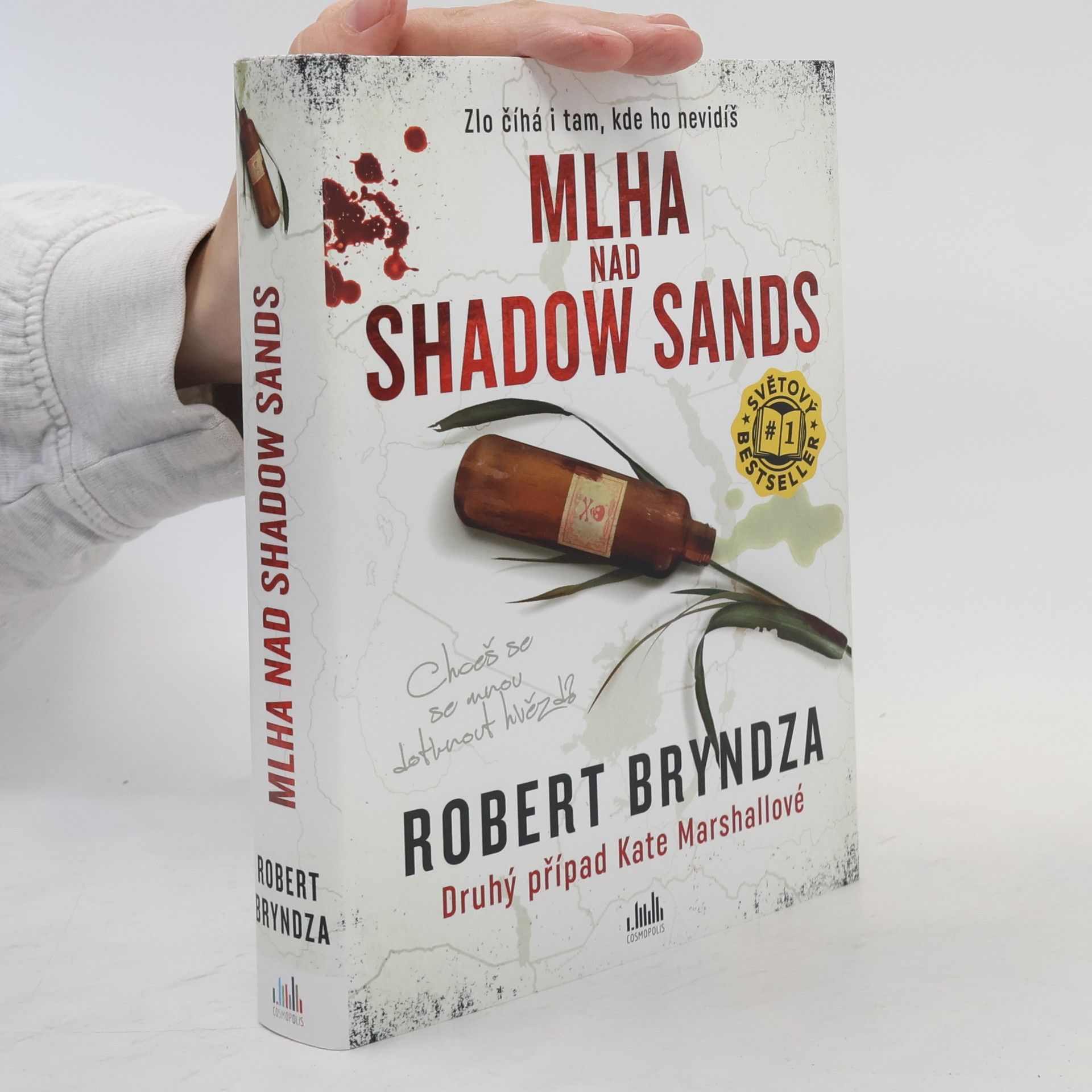 Robert Bryndza Mlha nad Shadow Sands