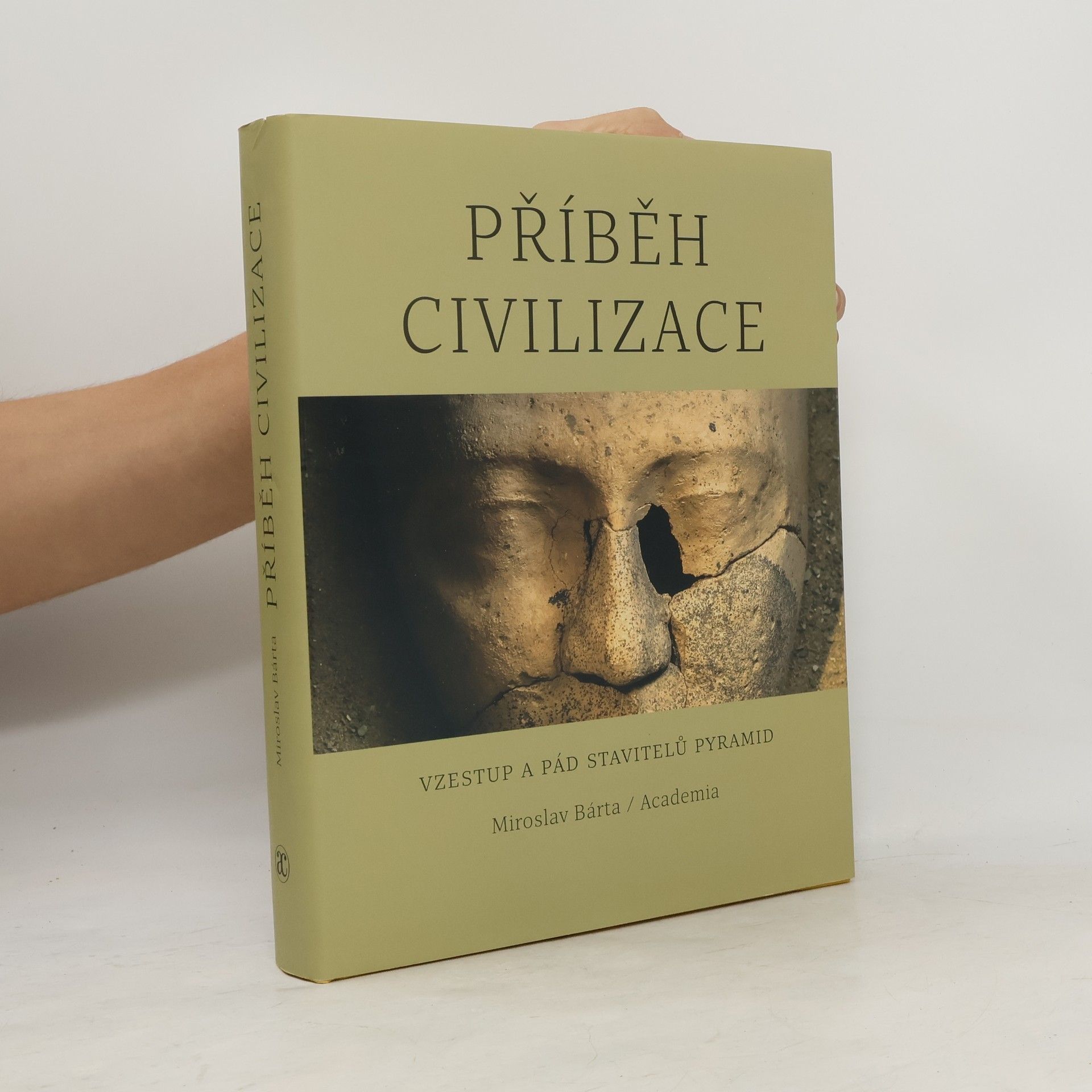Miroslav Bárta Příběh civilizace - Vzestup a pád stavitelů pyramid
