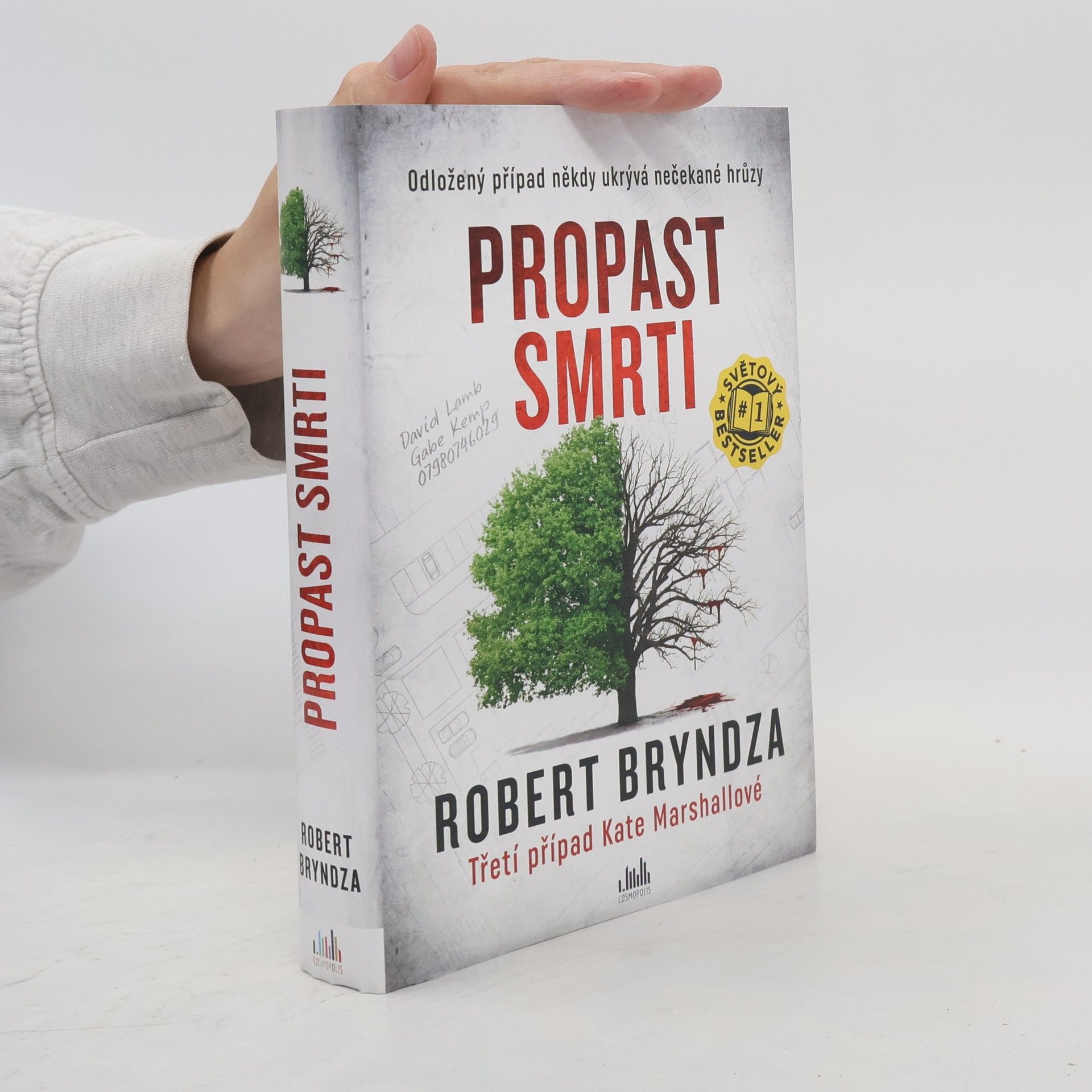 Robert Bryndza Propast smrti