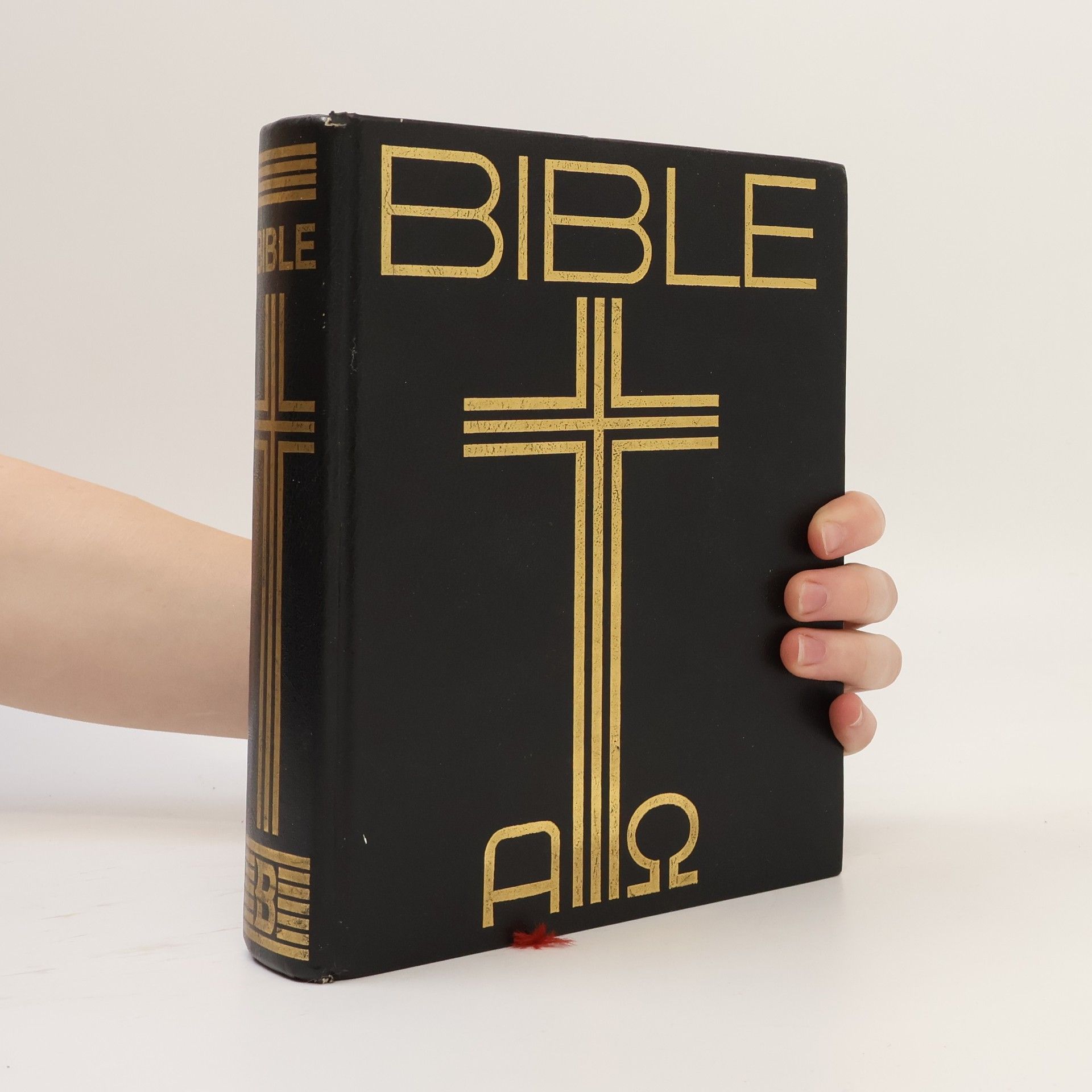 Various authors Bible