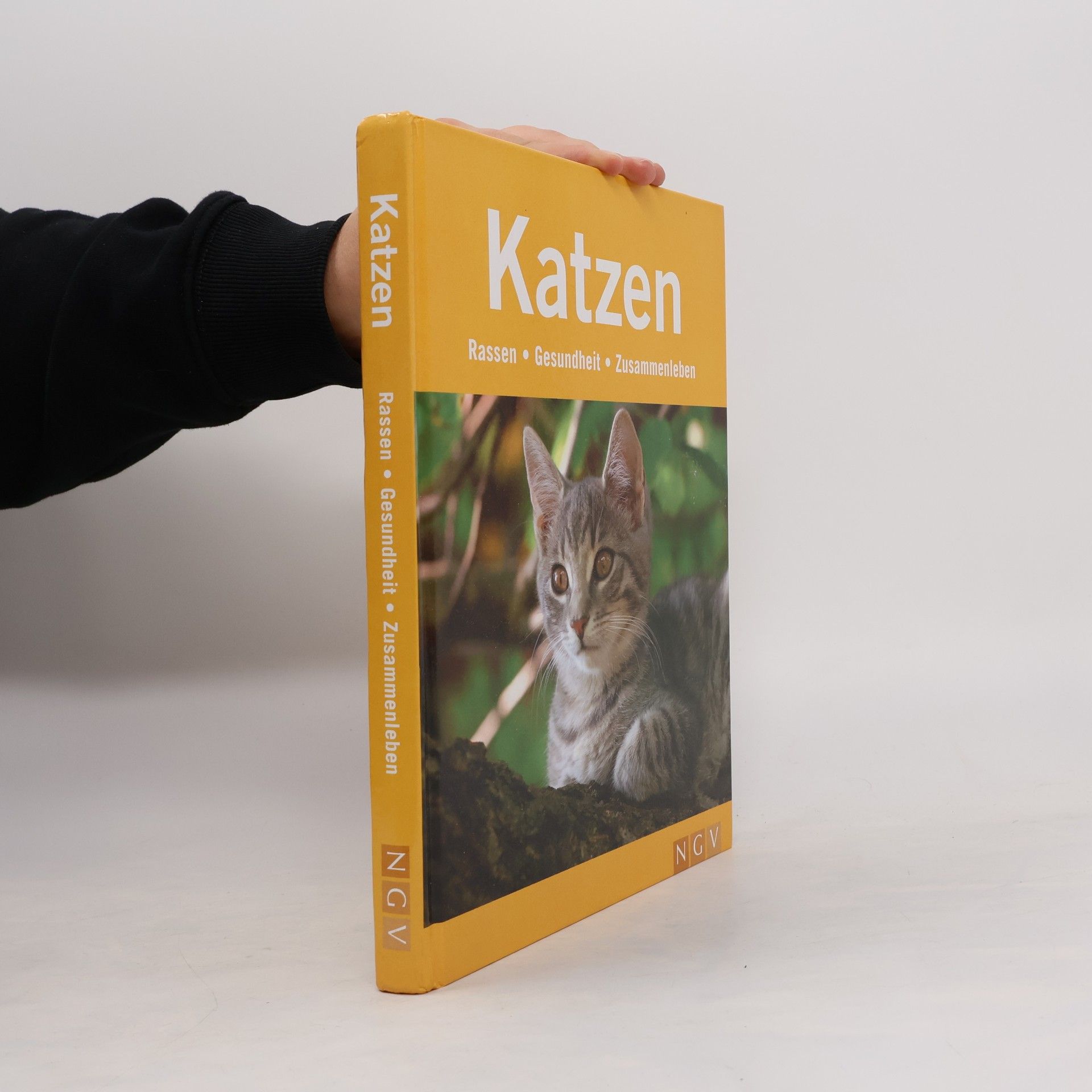 Katzen