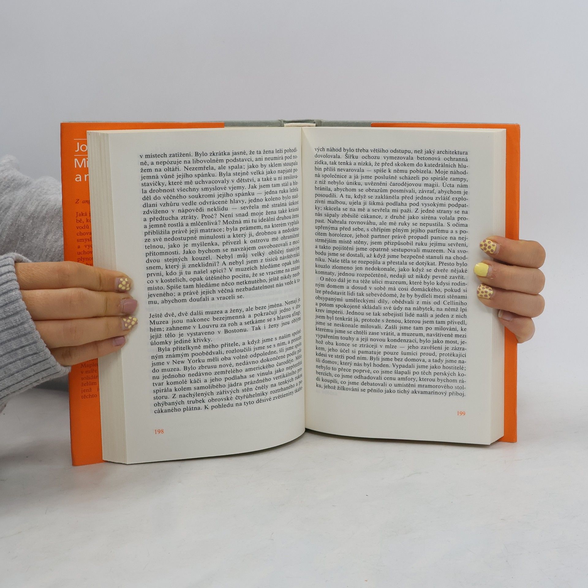 John Updike Milenci a manželé