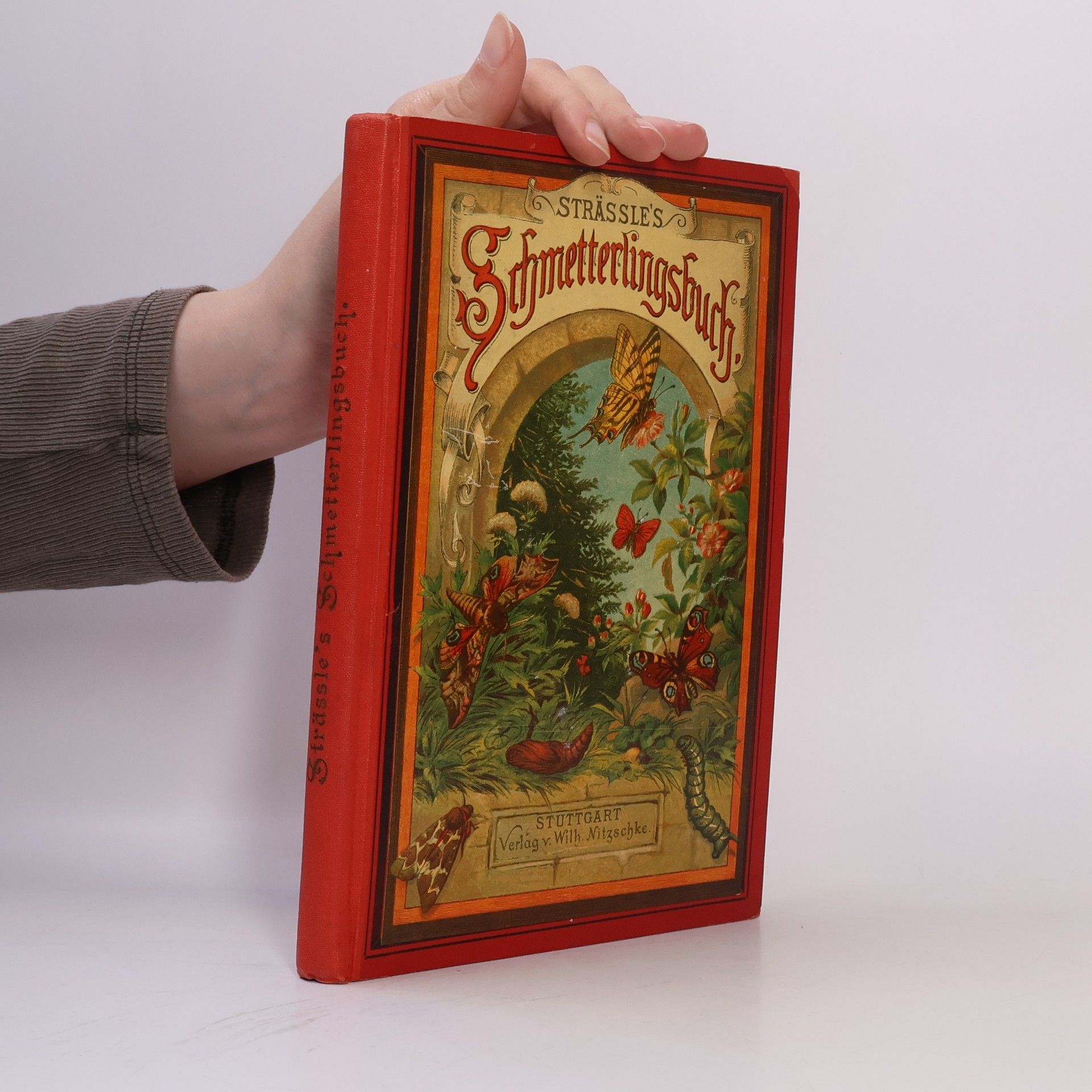Autorenkollektiv Franz Strässle's Schmetterlingsbuch