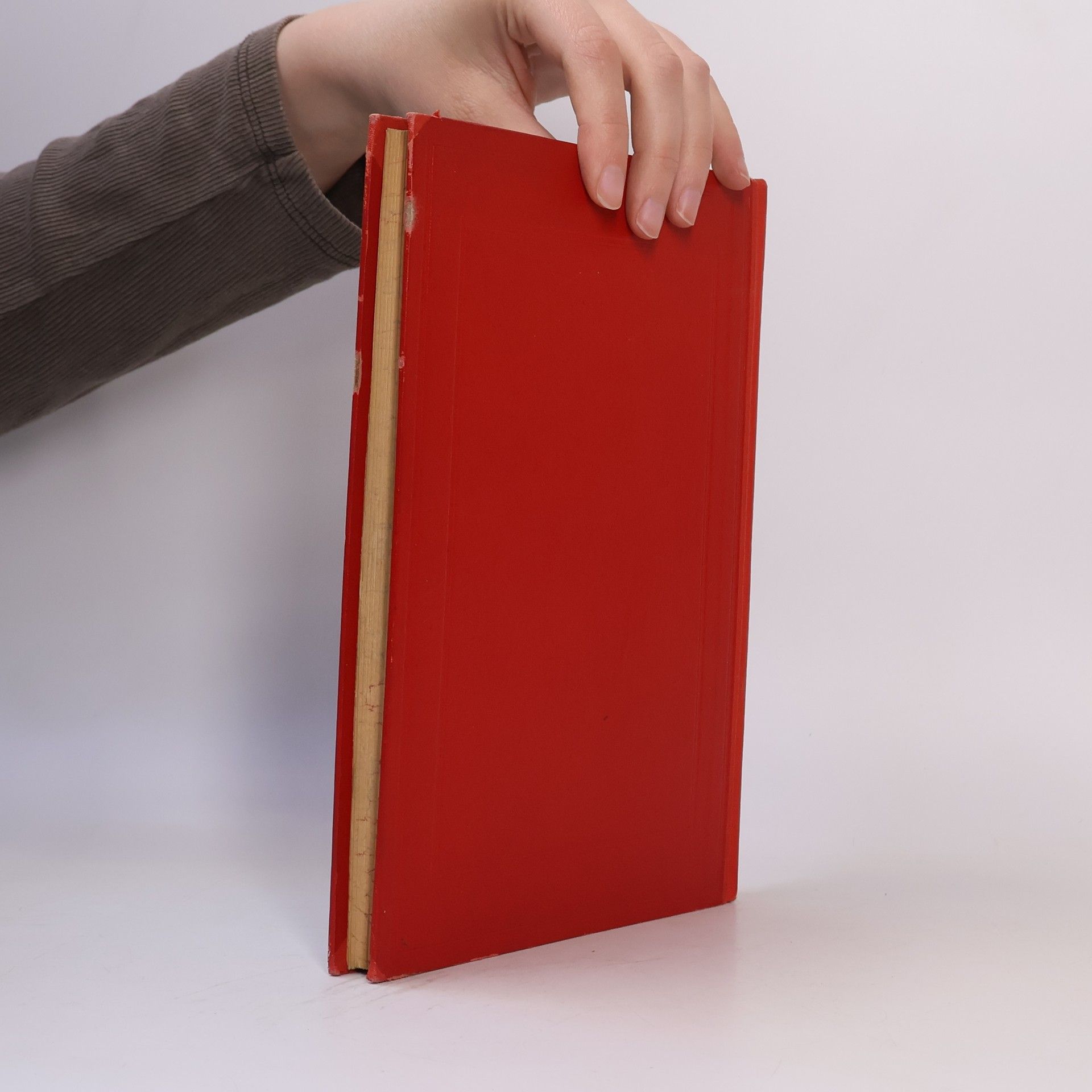 Autorenkollektiv Franz Strässle's Schmetterlingsbuch
