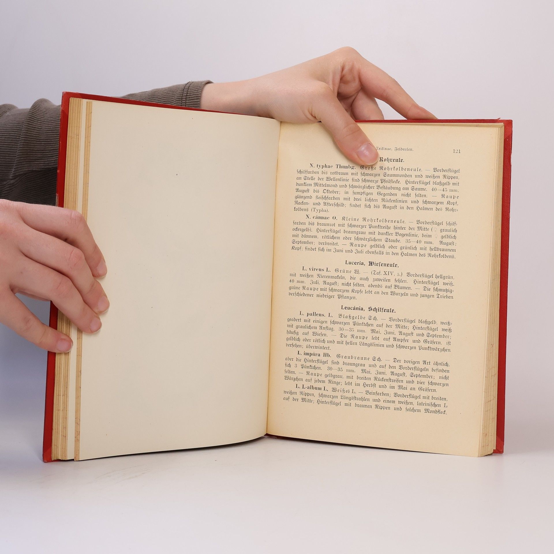 Autorenkollektiv Franz Strässle's Schmetterlingsbuch