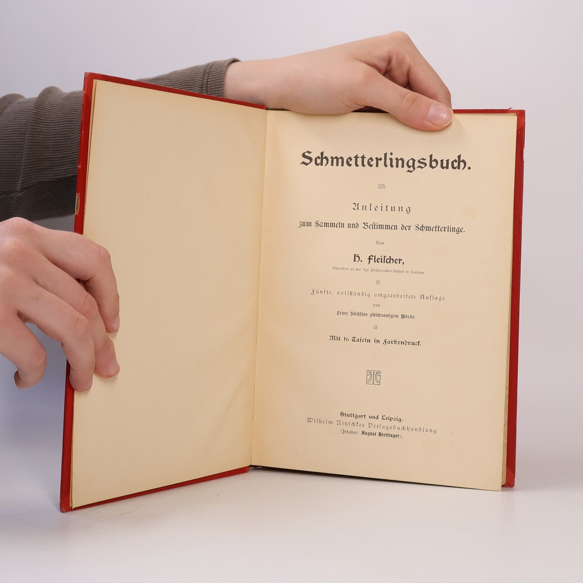 Autorenkollektiv Franz Strässle's Schmetterlingsbuch