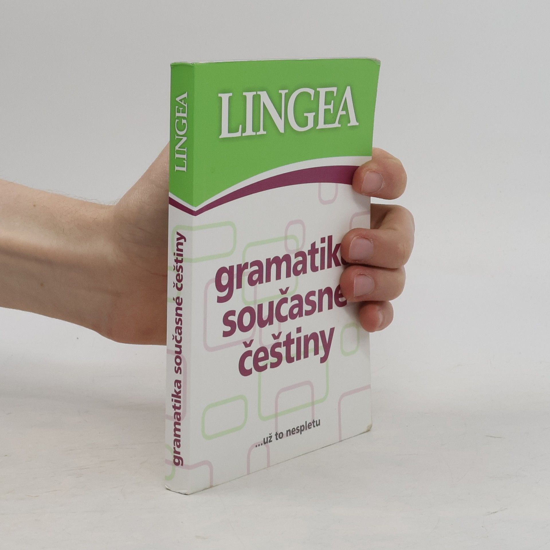 Kolektiv autorů Gramatika současné češtiny