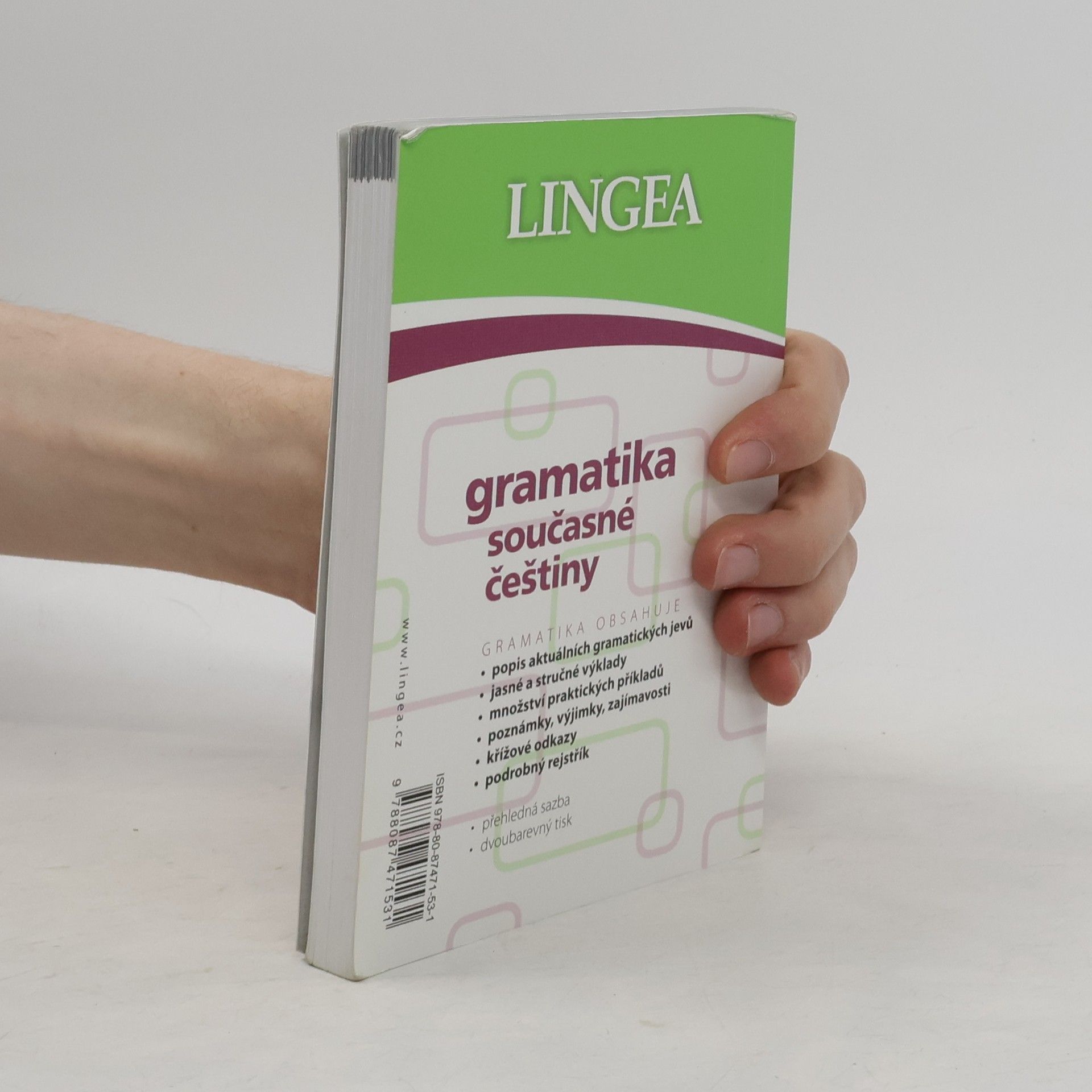 Kolektiv autorů Gramatika současné češtiny