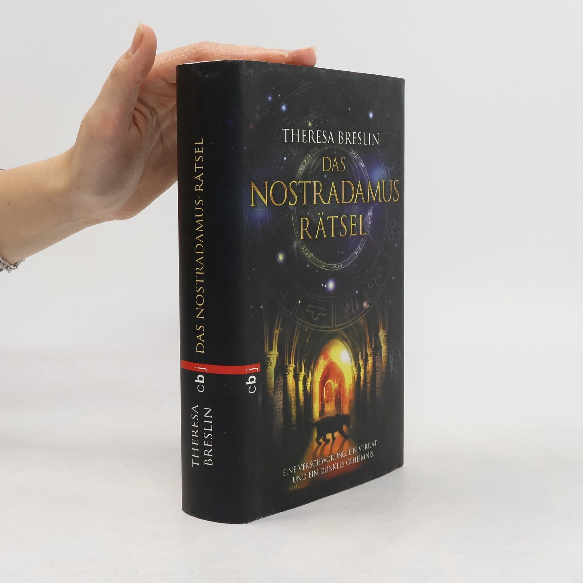 Das Nostradamus-Rätsel