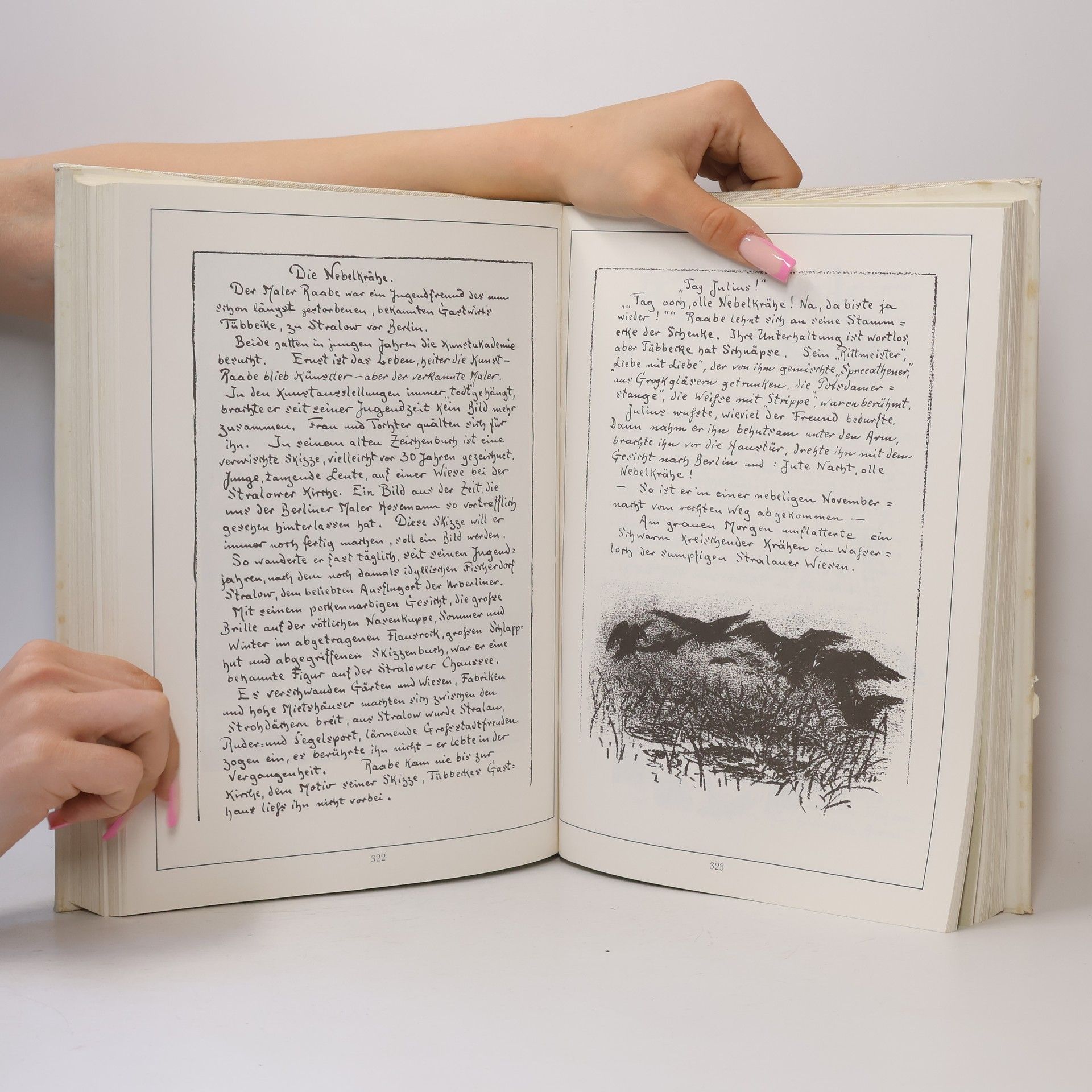 Gerhard Flügge Das dicke Zille-Buch