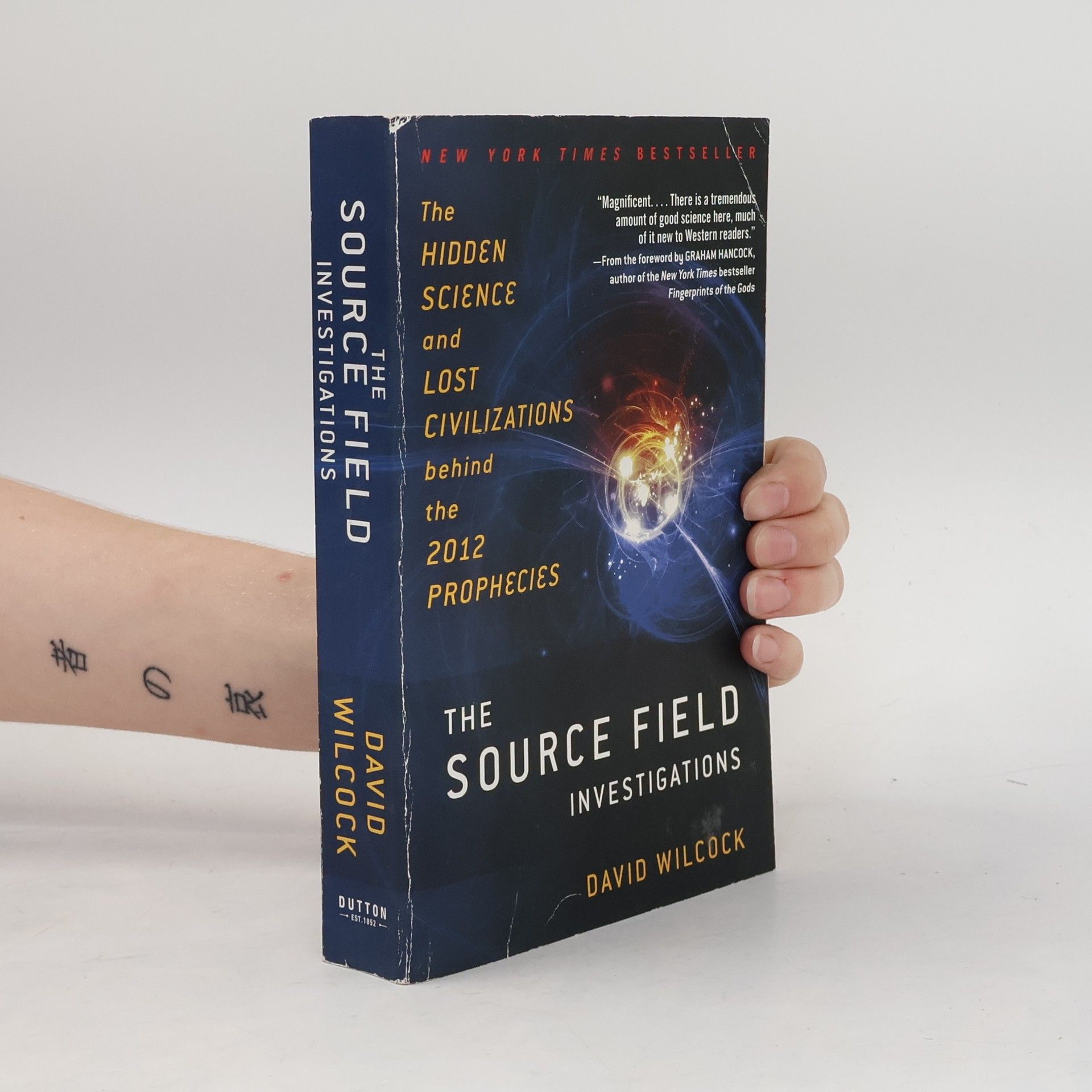 David Wilcock The Source Field Investigations