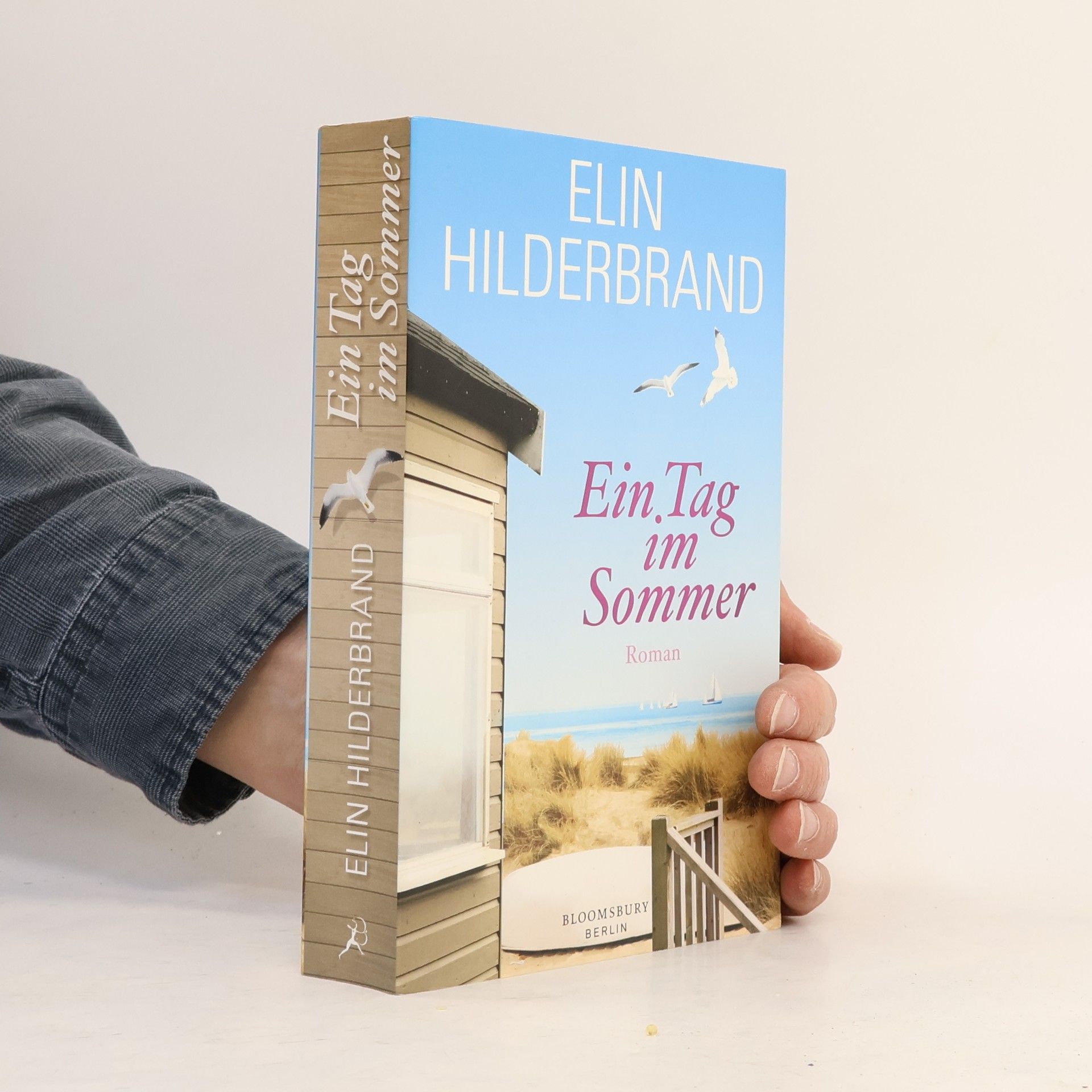 Elin Hilderbrand Ein Tag im Sommer