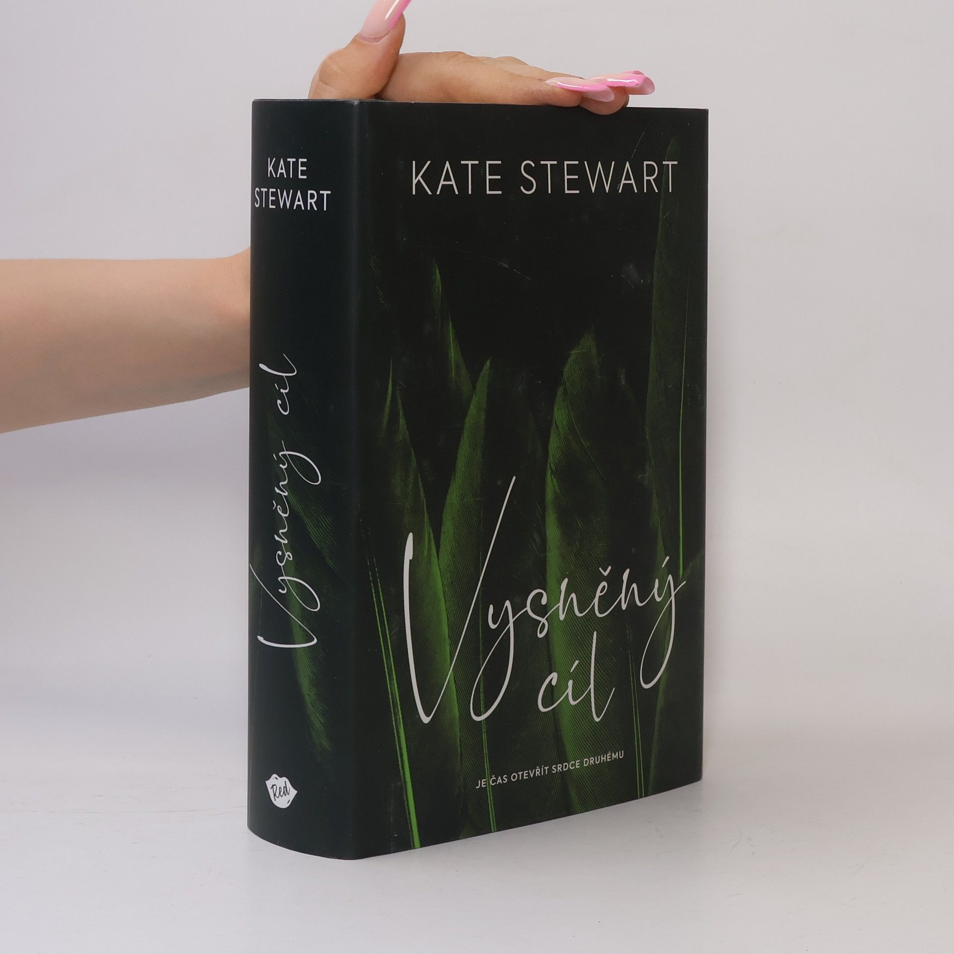 Kate Stewart Vysněný cíl. Kniha třetí
