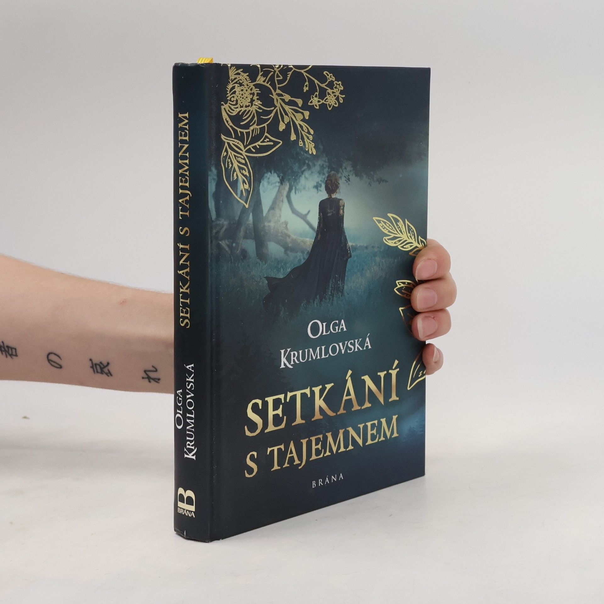 Setkání s tajemnem
