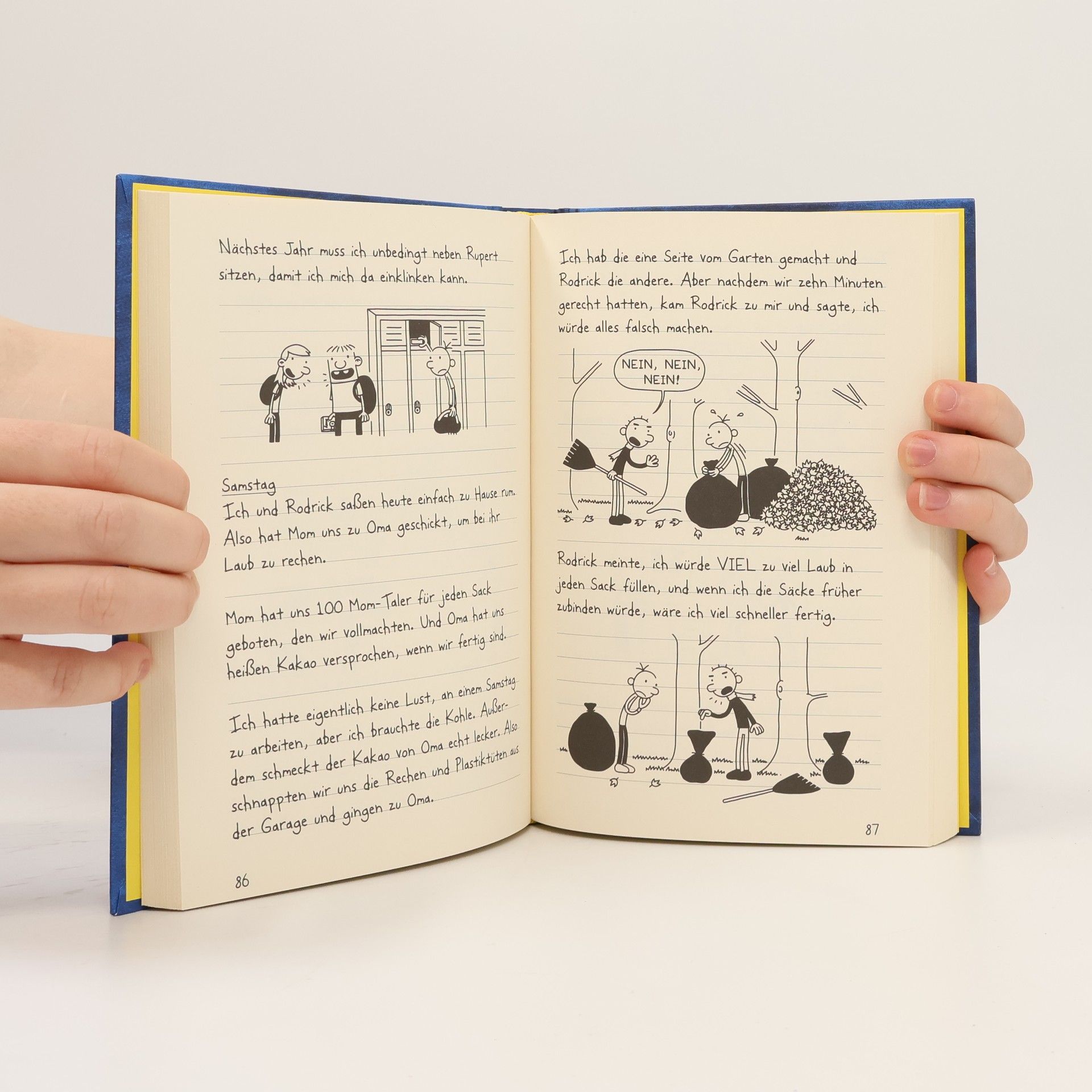 Jeff Kinney Gregs Tagebuch 2. Gibt's Probleme?