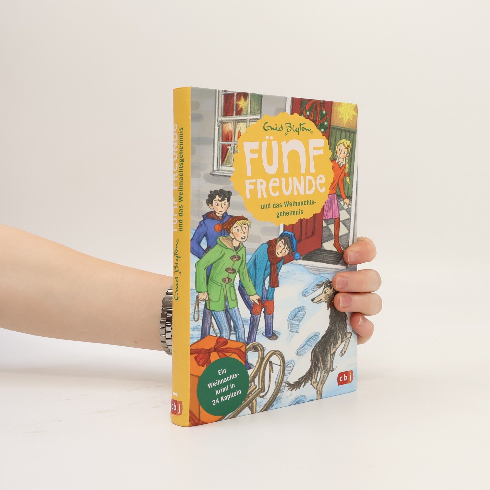 Enid Blyton Fünf Freunde und das Weihnachtsgeheimnis