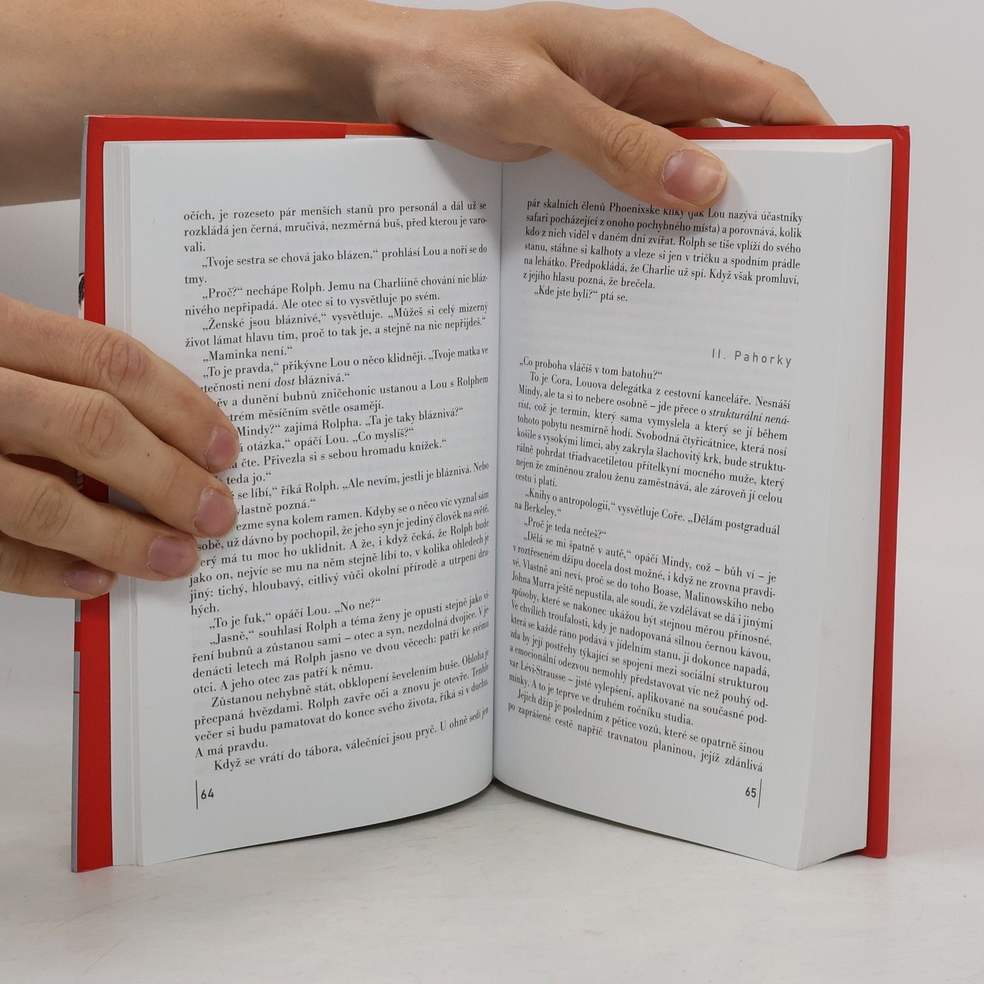 Jennifer Egan Návštěva bandy rváčů