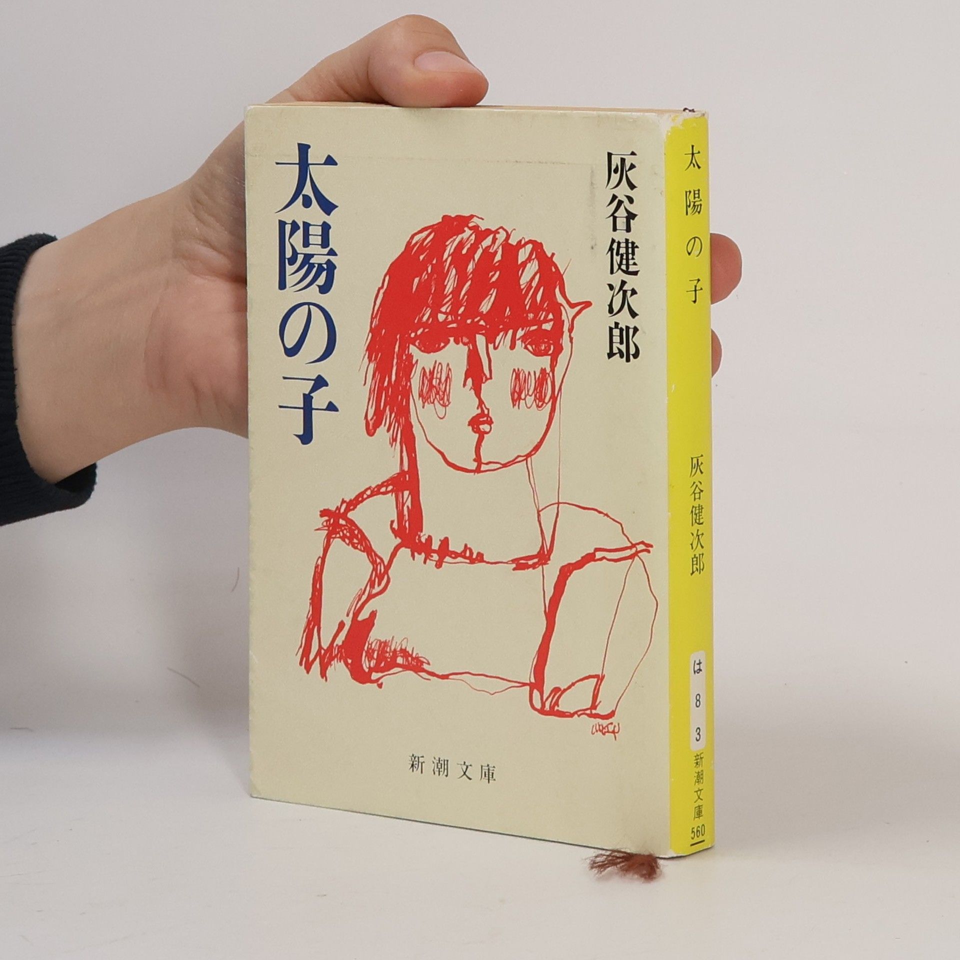 Kenjiro Haitani 新潮文庫: 太陽の子