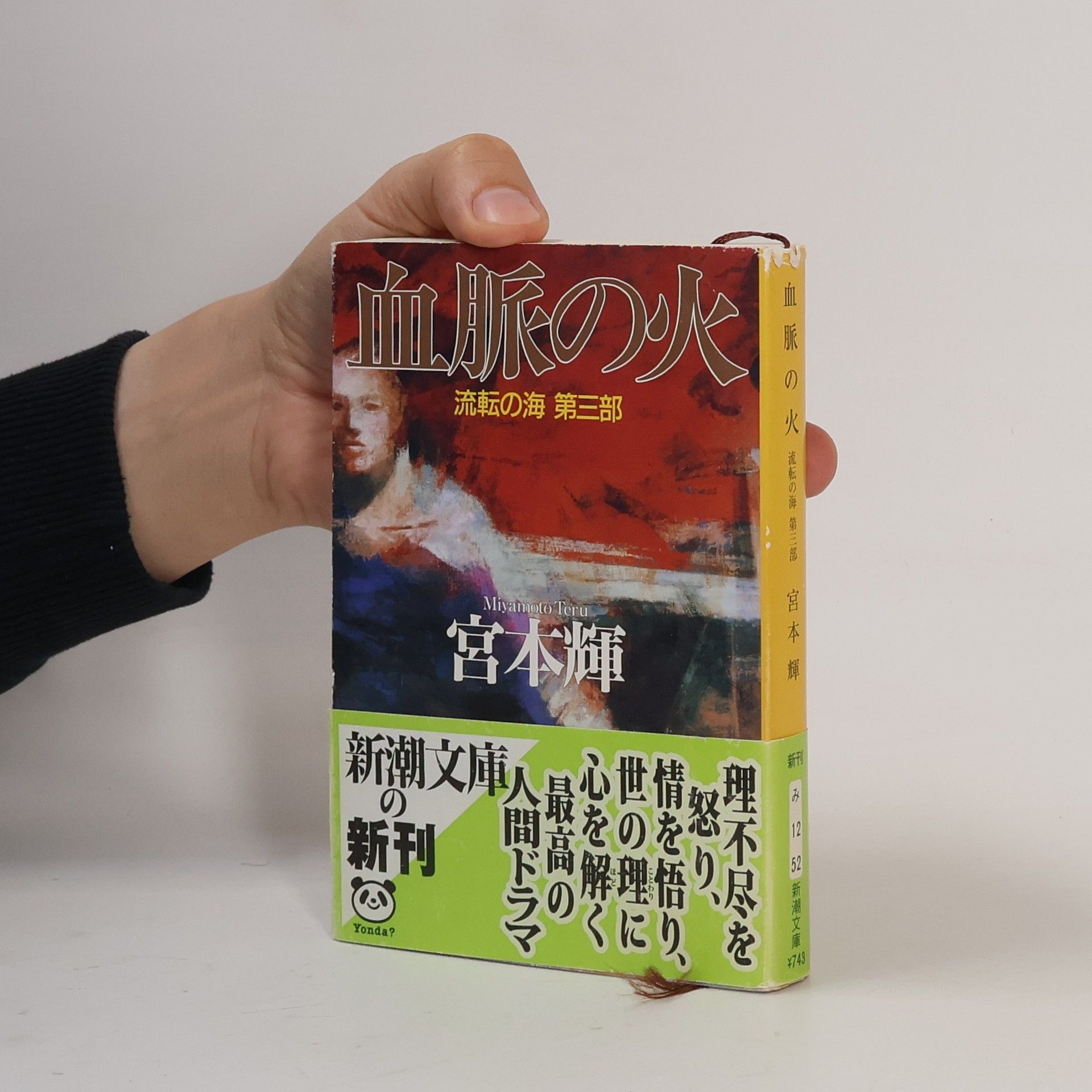 Teru Miyamoto 流転の海 - 3: 血脈の火