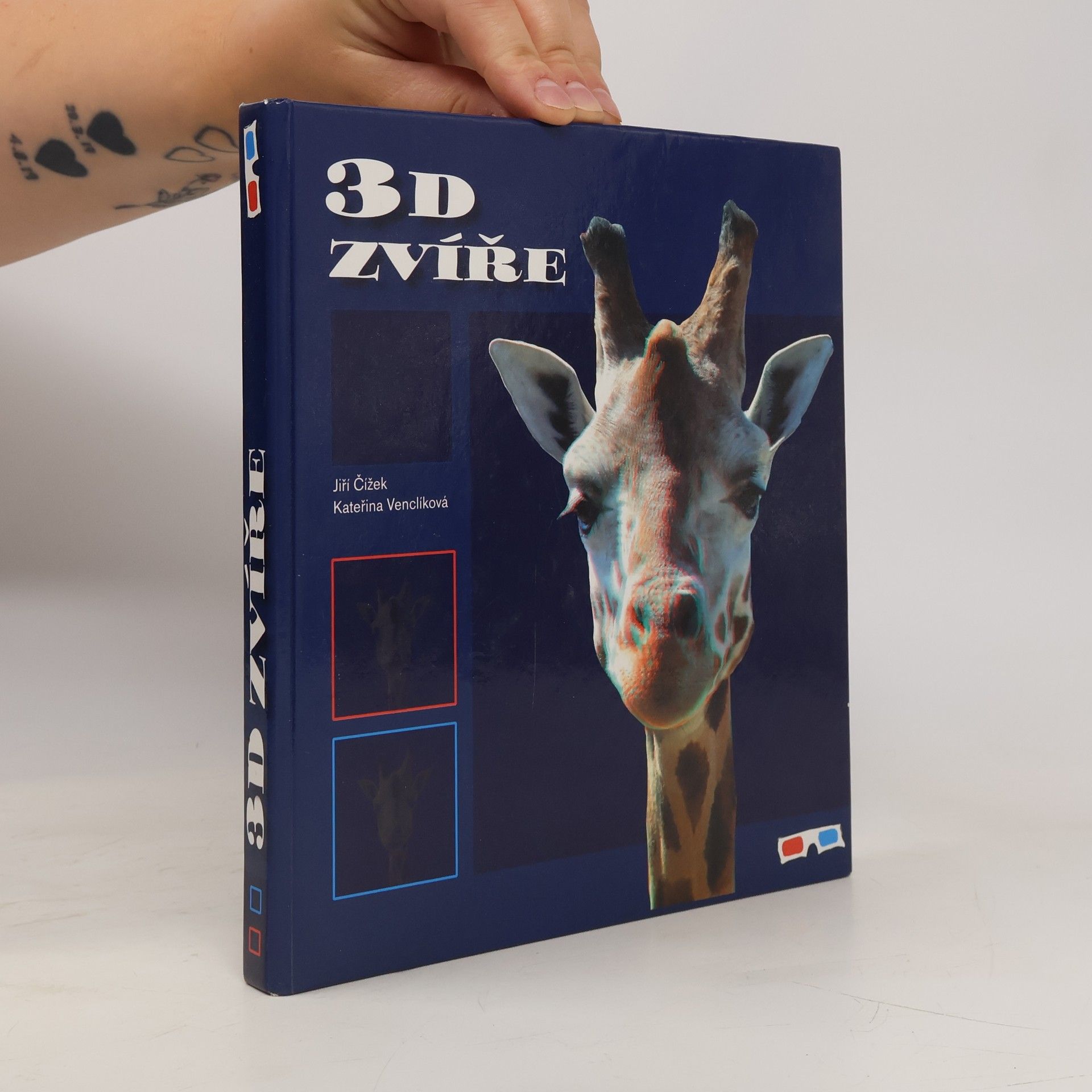 Kateřina Venclíková 3D zvíře