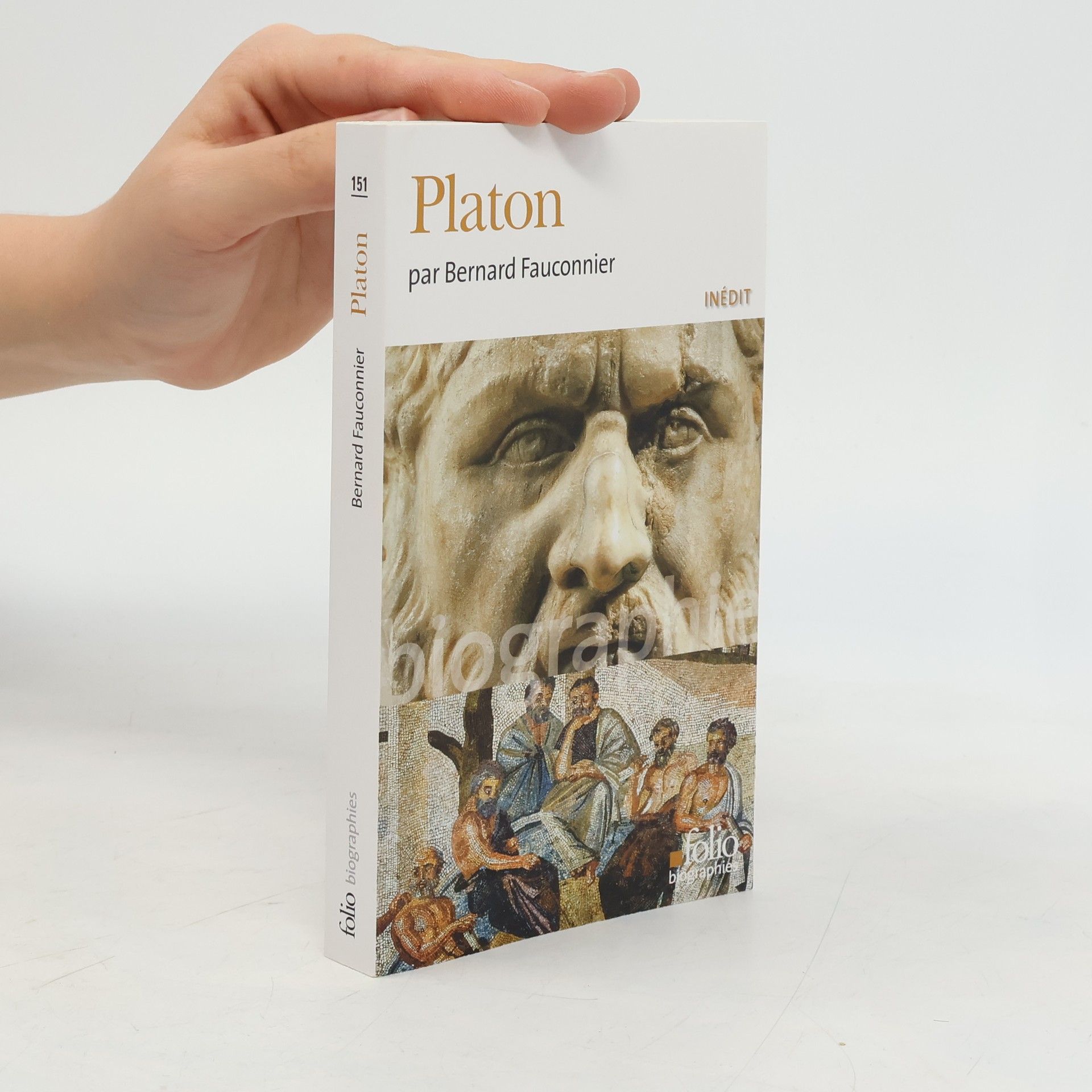 Bernard Fauconnier Platon
