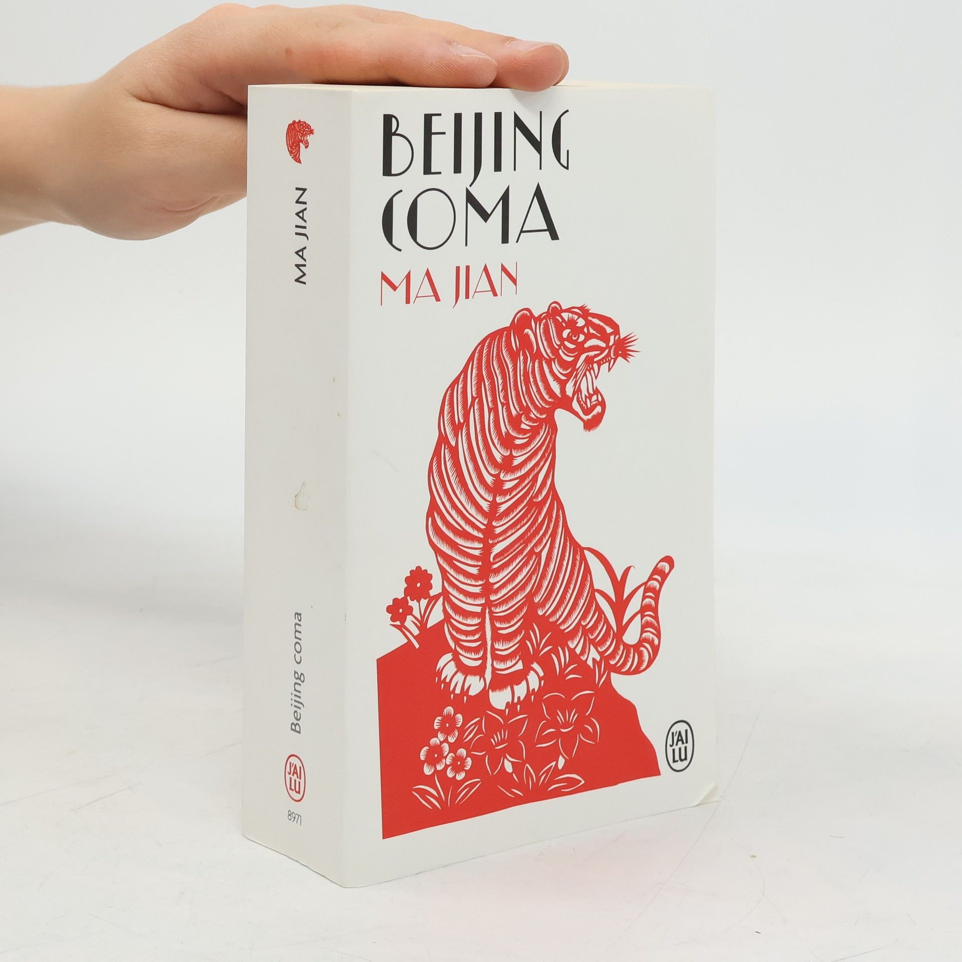 Ma Jian Beijing Coma