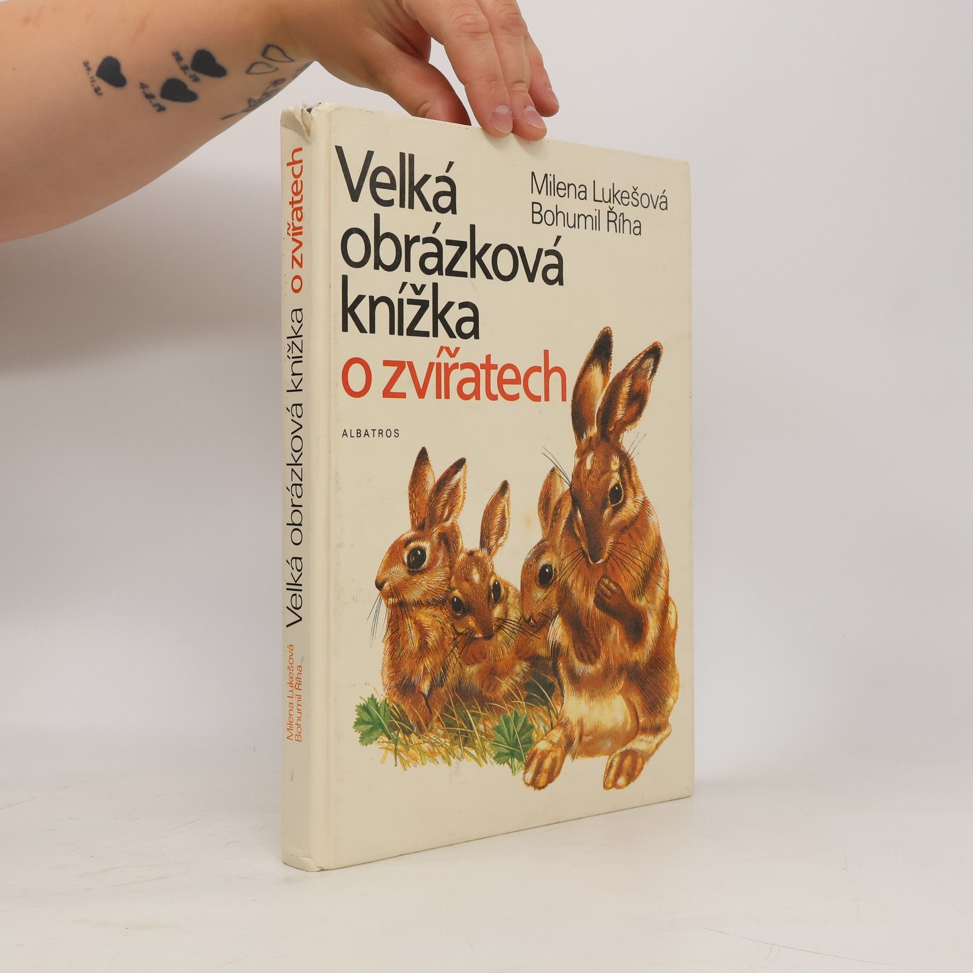 Milena Lukešová Velká obrázková knížka o zvířatech
