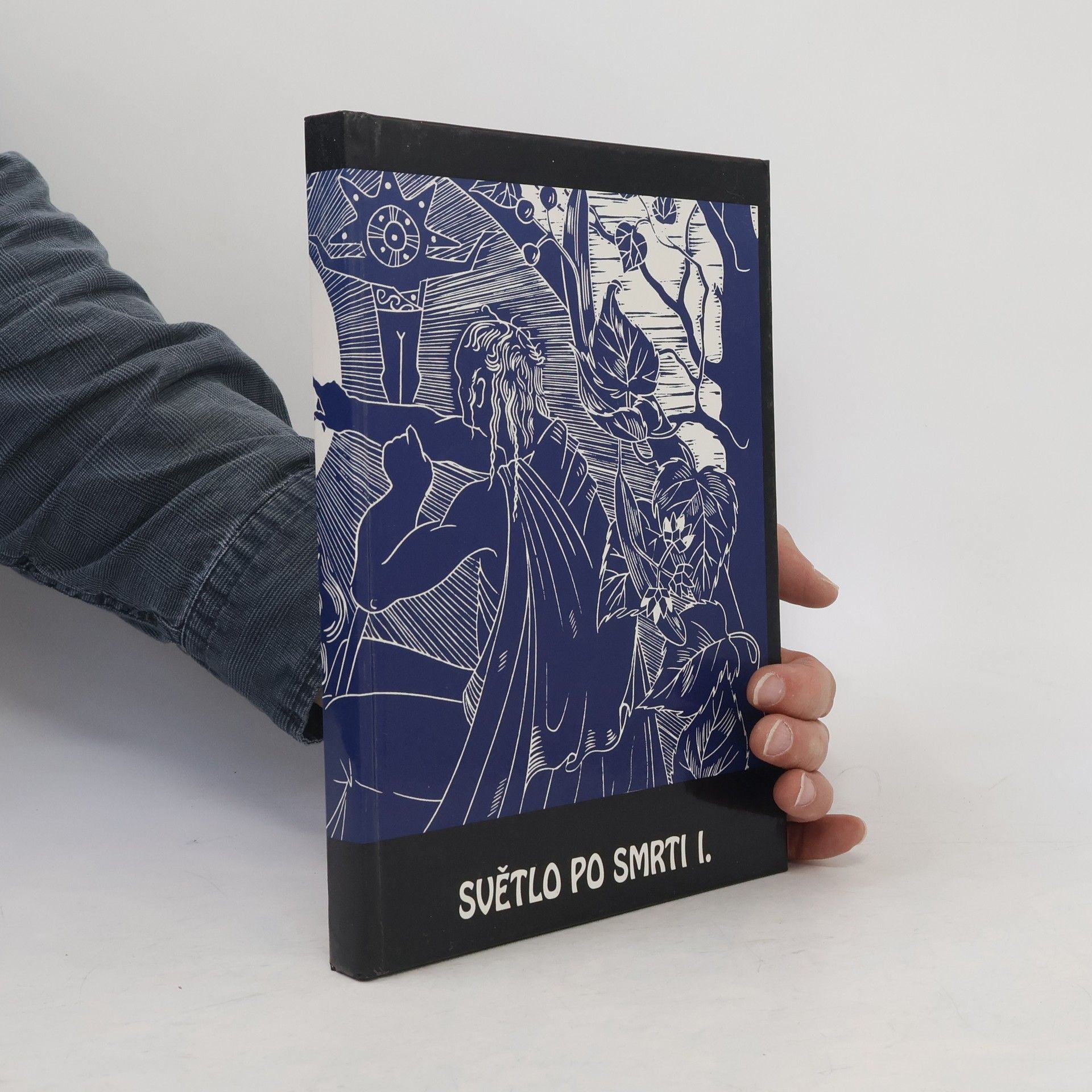 Kolektiv autorů Světlo po smrti I.