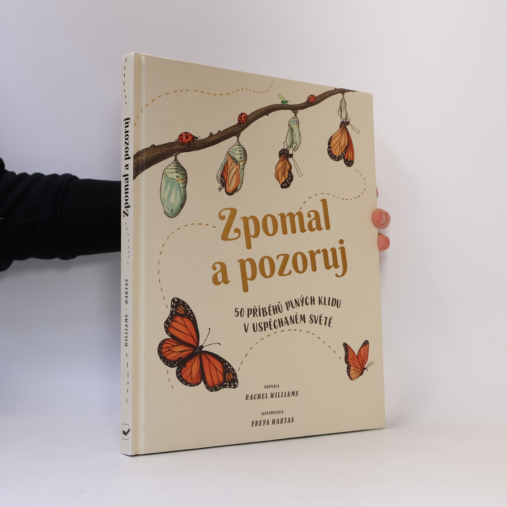 Rachel Williams Zpomal a pozoruj