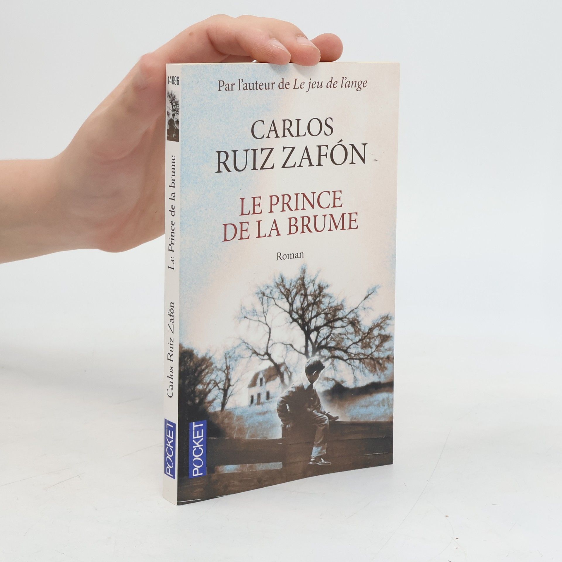 Carlos Ruiz Zafón Le prince de la brume