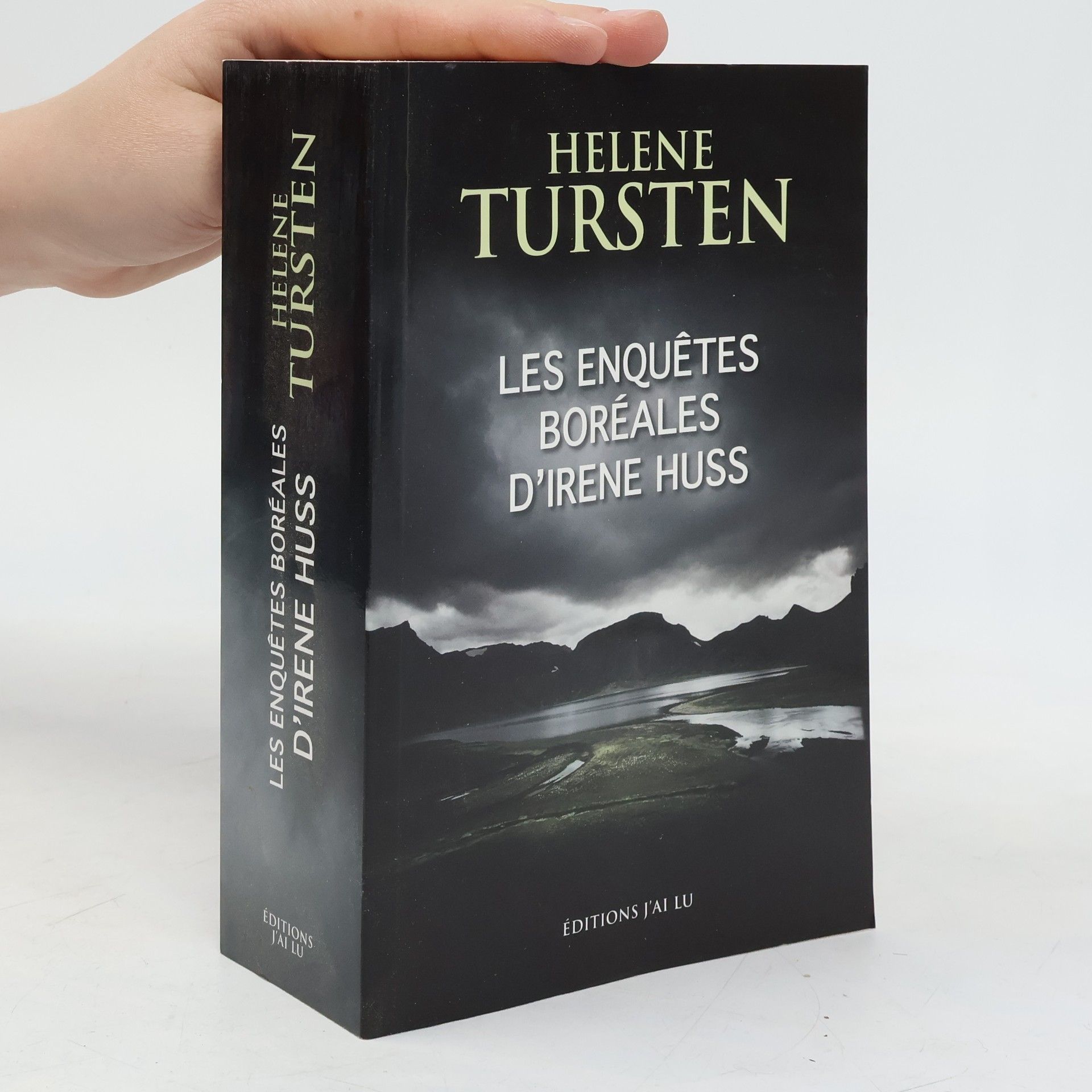 Les enquêtes boréales d'Irene Huss