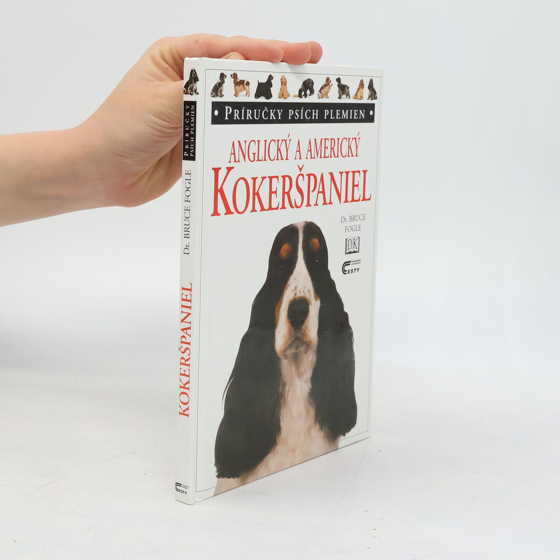 Bruce Folge Anglický a americký kokeršpaniel