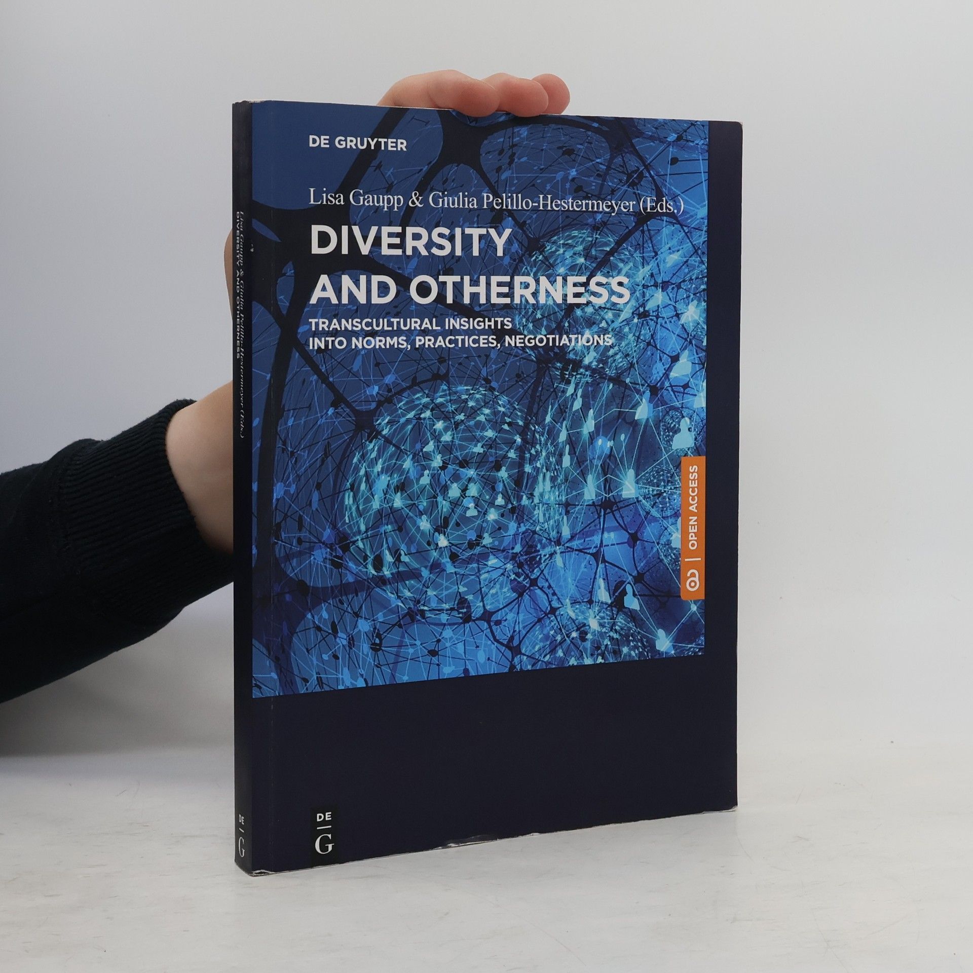 Diversity and Otherness