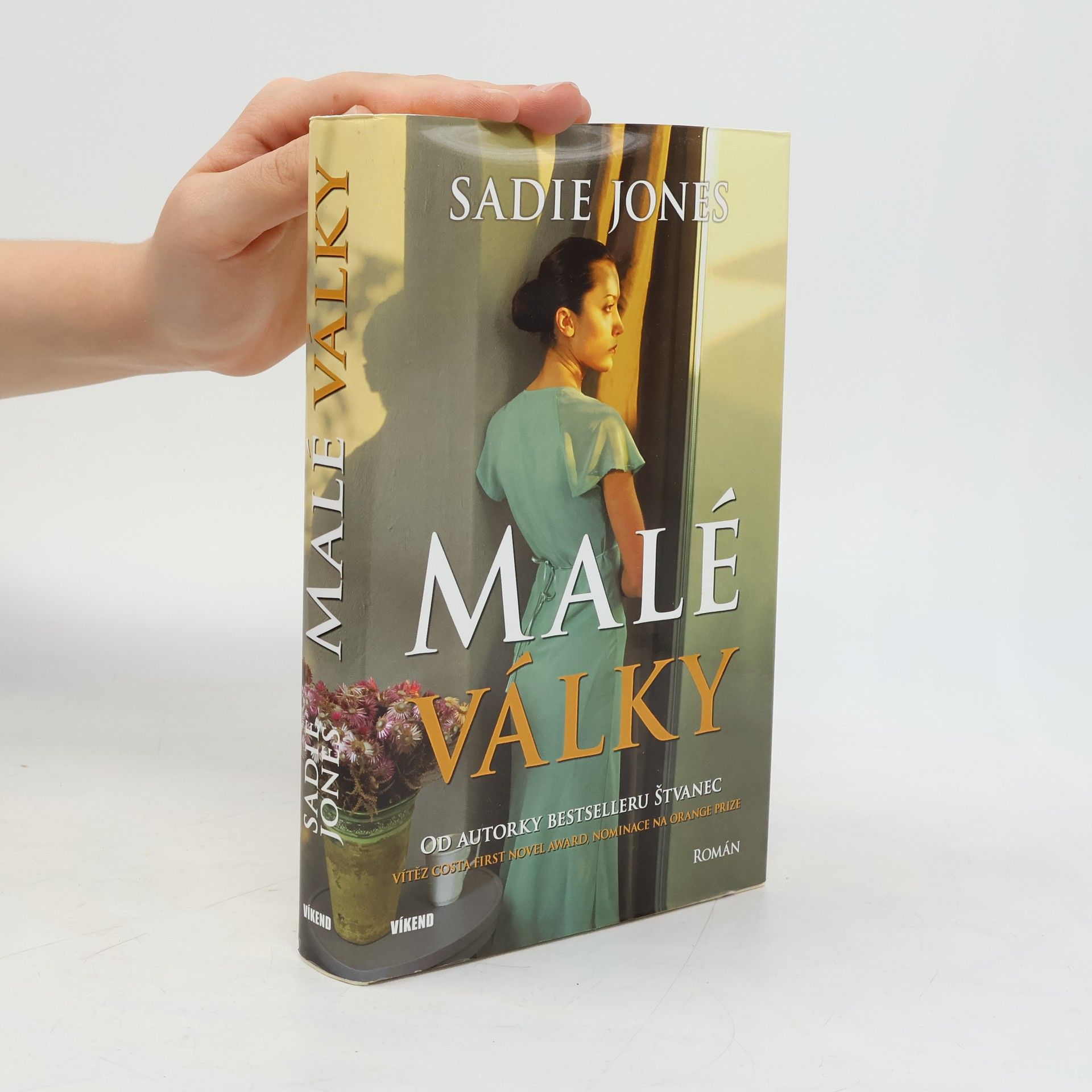 Sadie Jones Malé války
